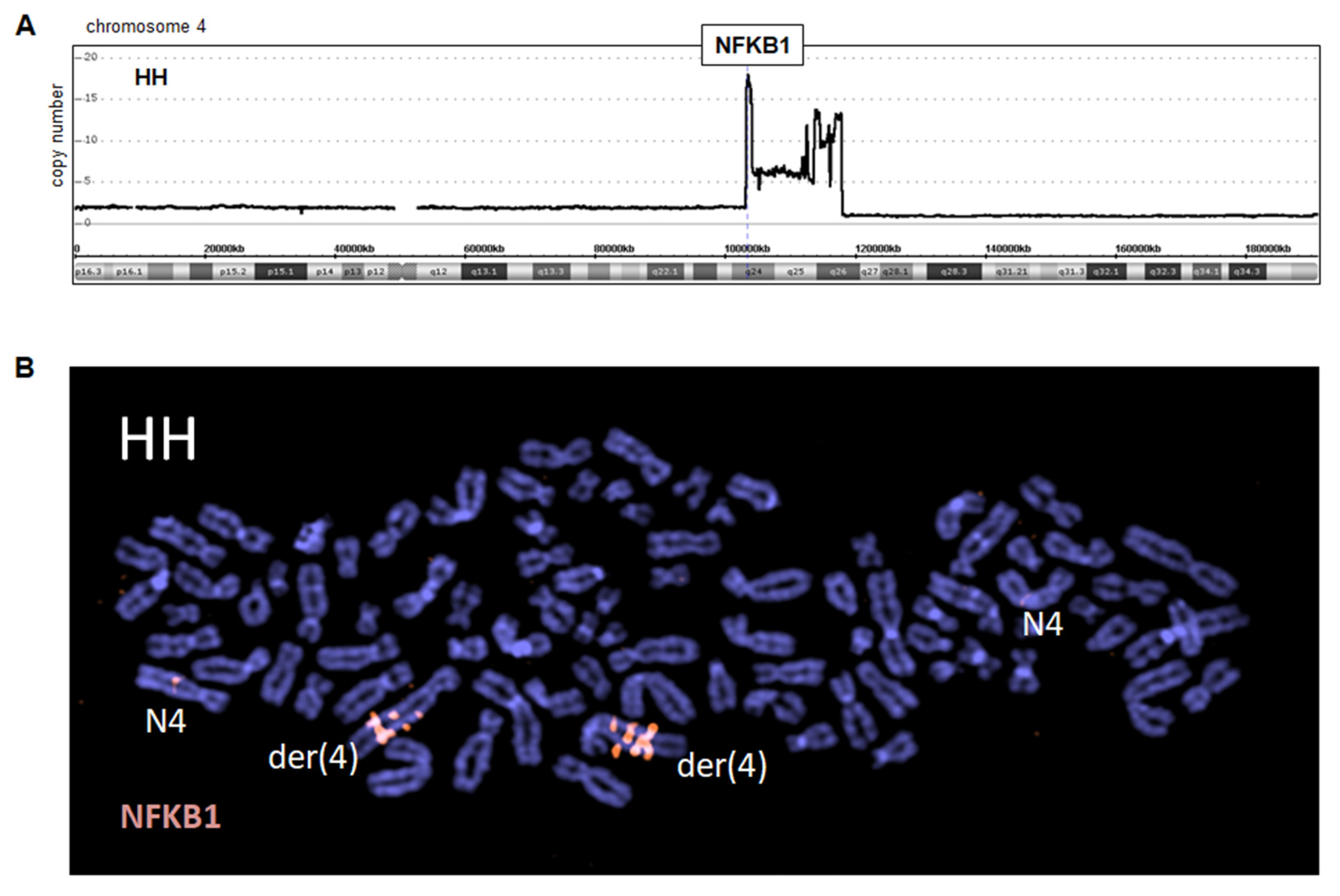Biomedicines 10 02038 g002 Biomedicines 10 02038 g002