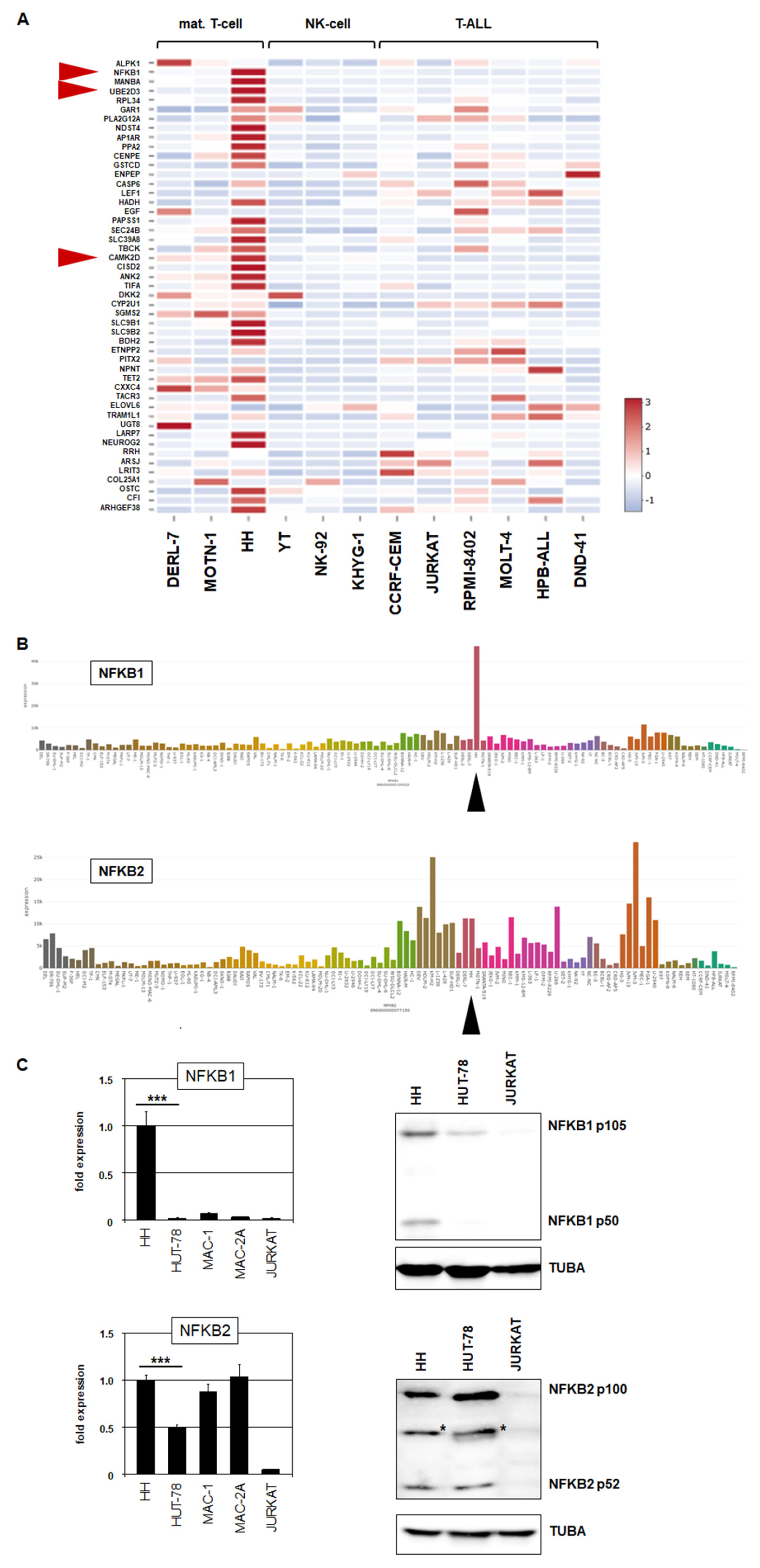 Biomedicines 10 02038 g003 Biomedicines 10 02038 g003