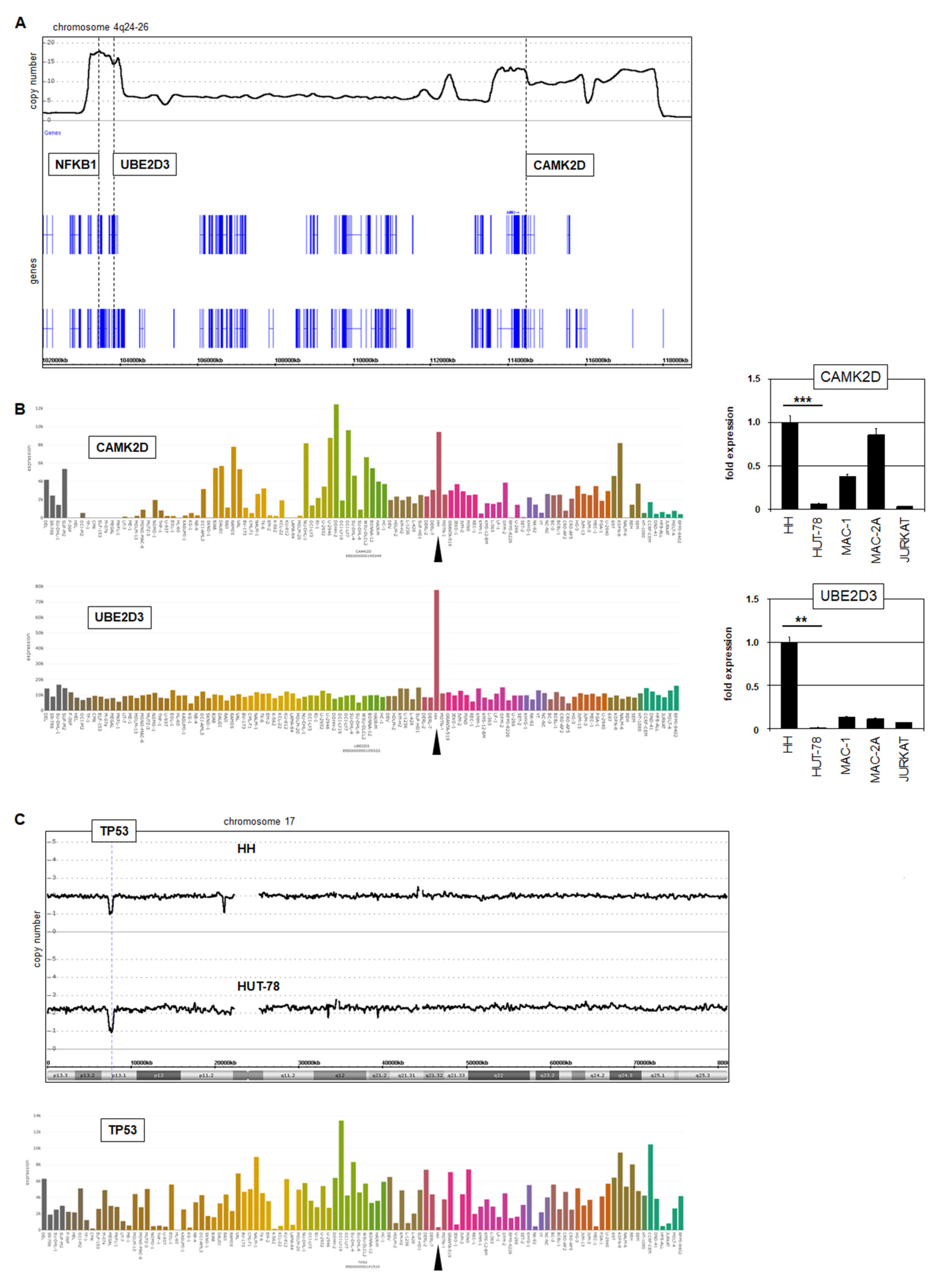 Biomedicines 10 02038 g006 Biomedicines 10 02038 g006