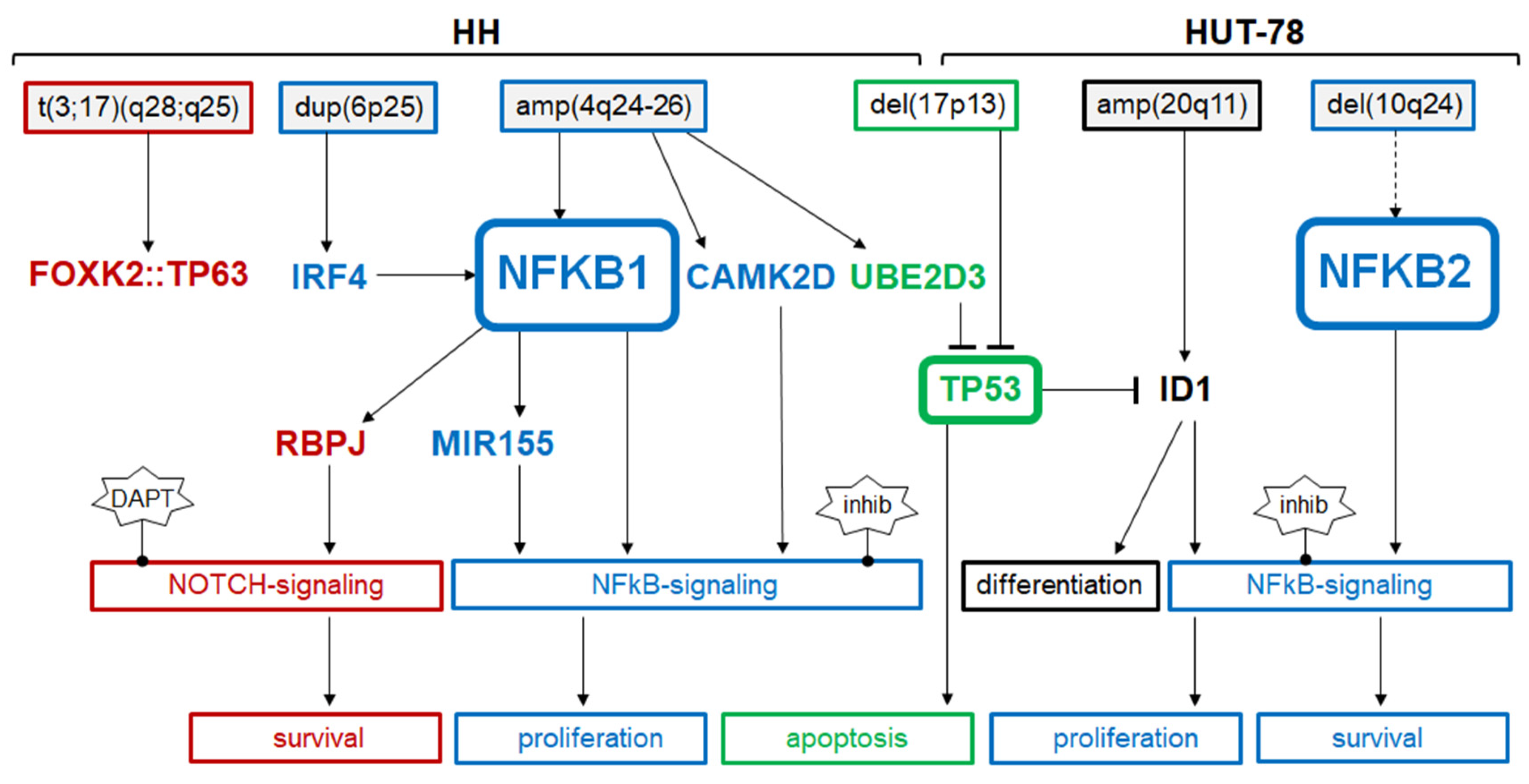 Biomedicines 10 02038 g009 Biomedicines 10 02038 g009