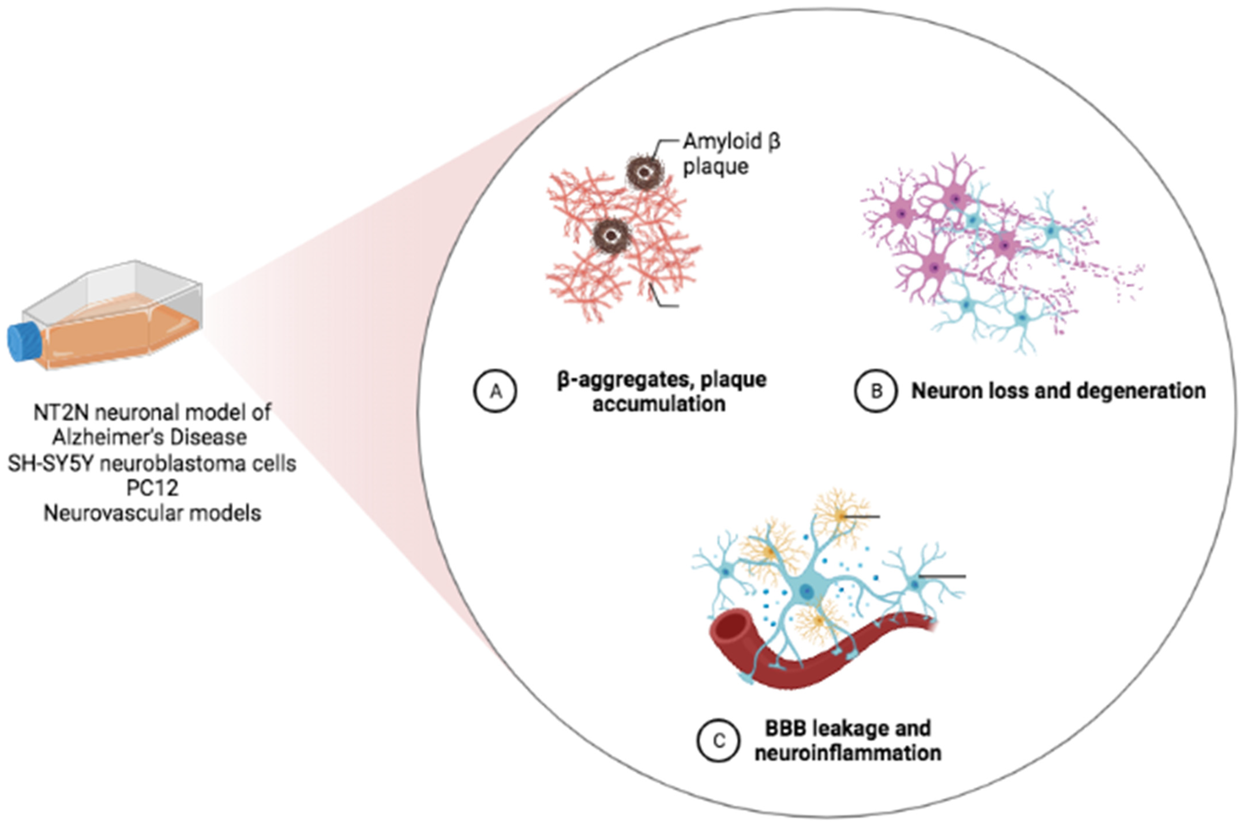 Biomedicines 10 02043 g002 Biomedicines 10 02043 g002