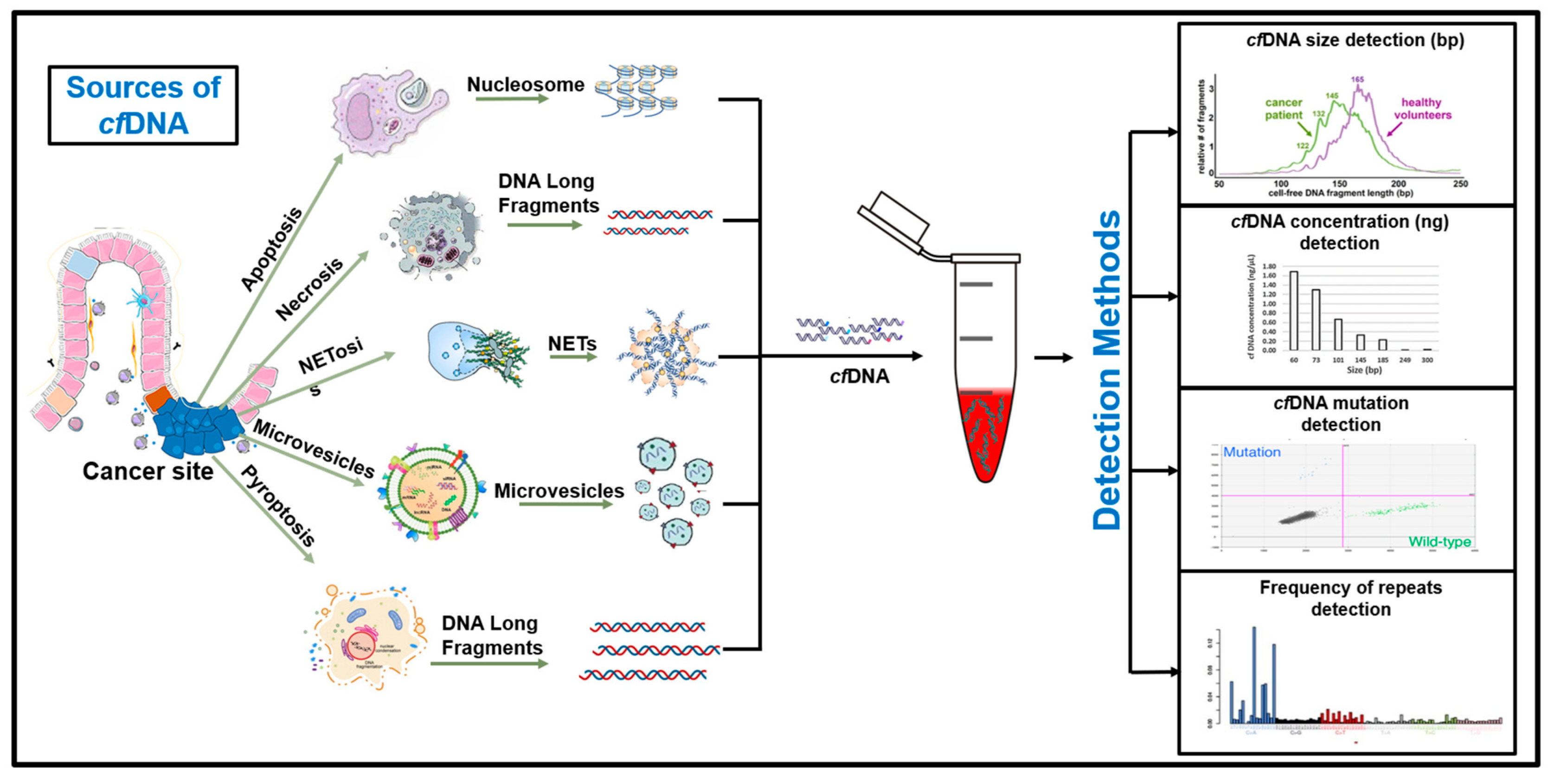 Biomedicines Free FullText Diagnostic and Therapeutic Potential of