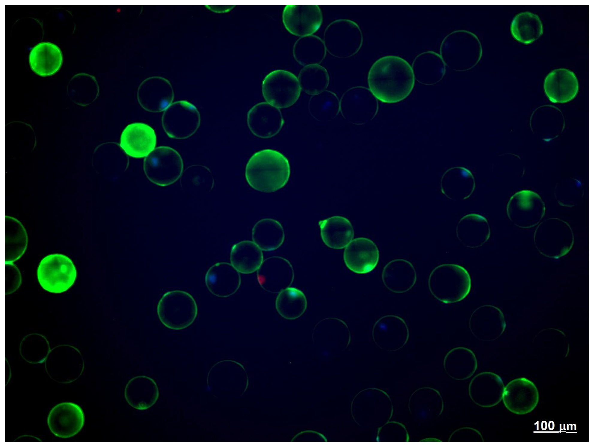 Biomedicines 10 02054 g001