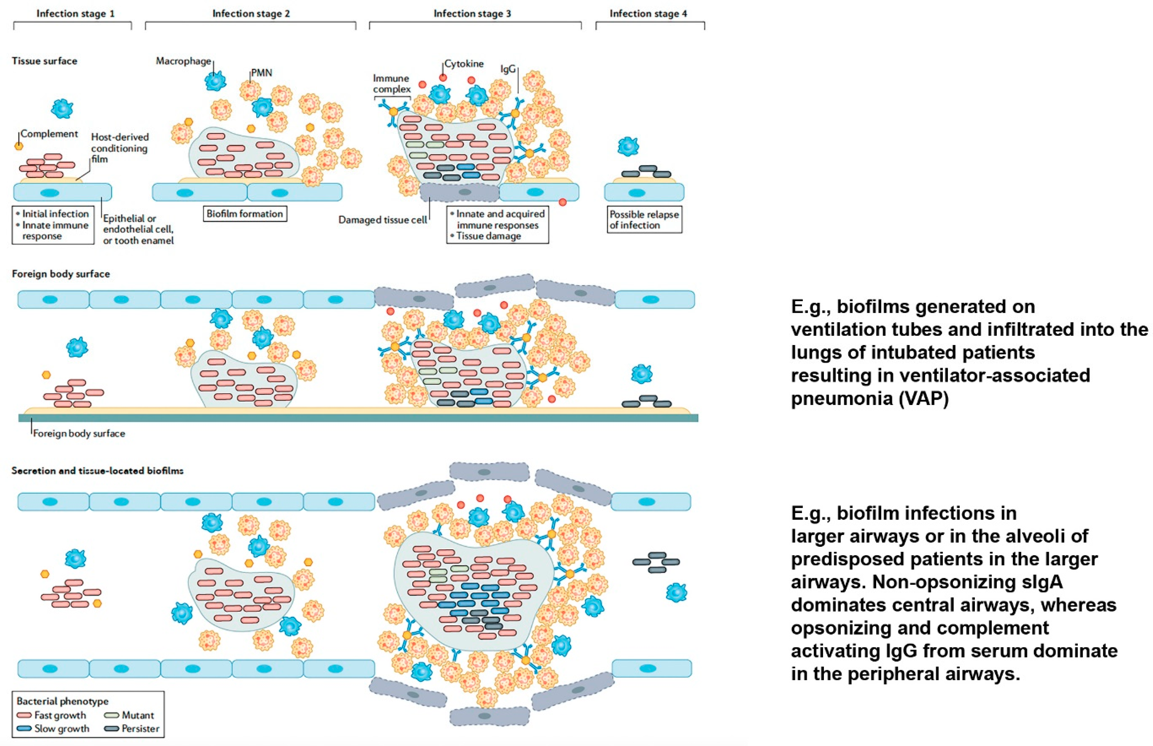 Biomedicines 10 02064 g002 Biomedicines 10 02064 g002