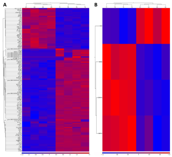 Identification of Key Genes and ... Biology Diagrams
