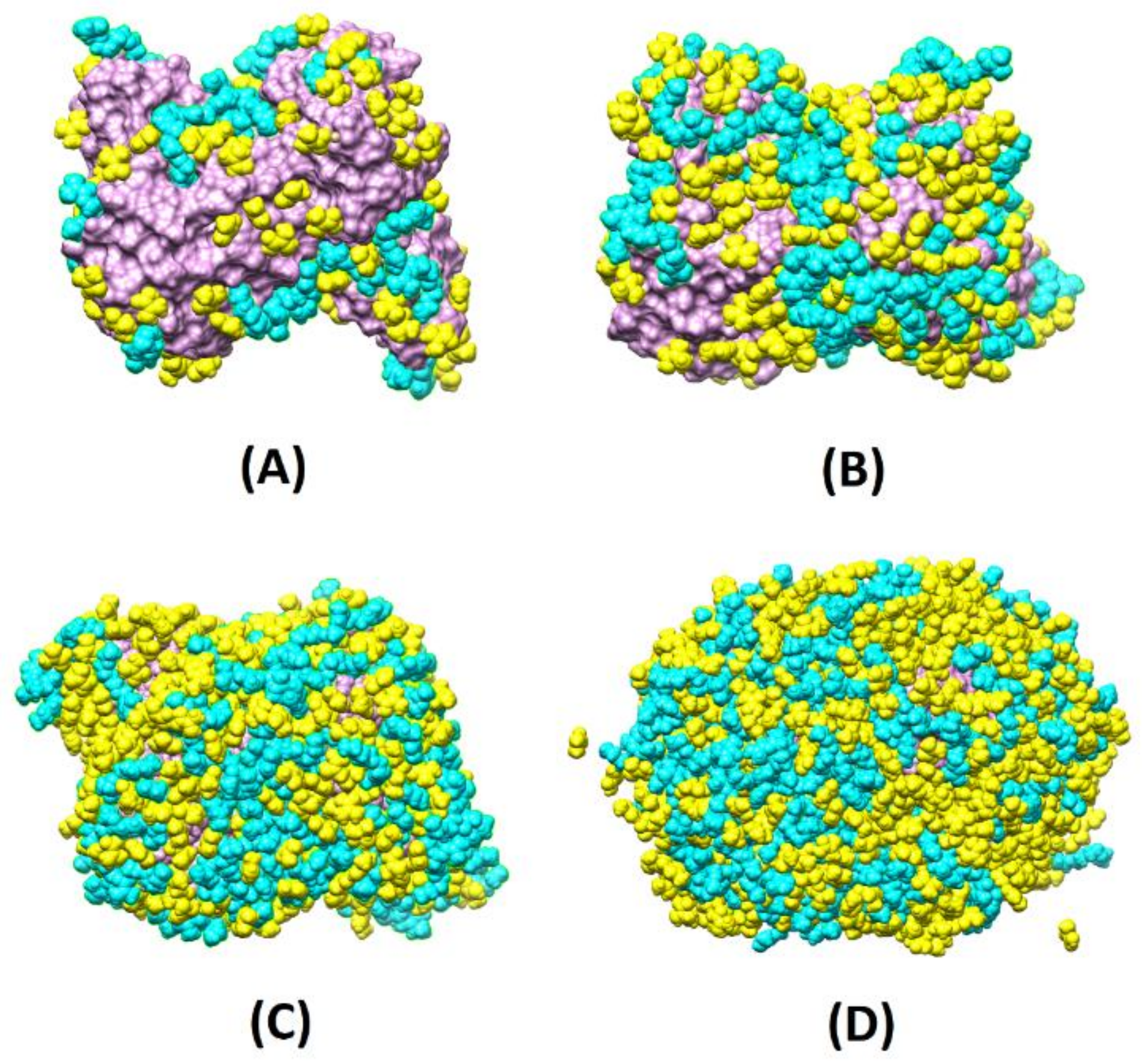 Biomedicines 10 02070 g002 550