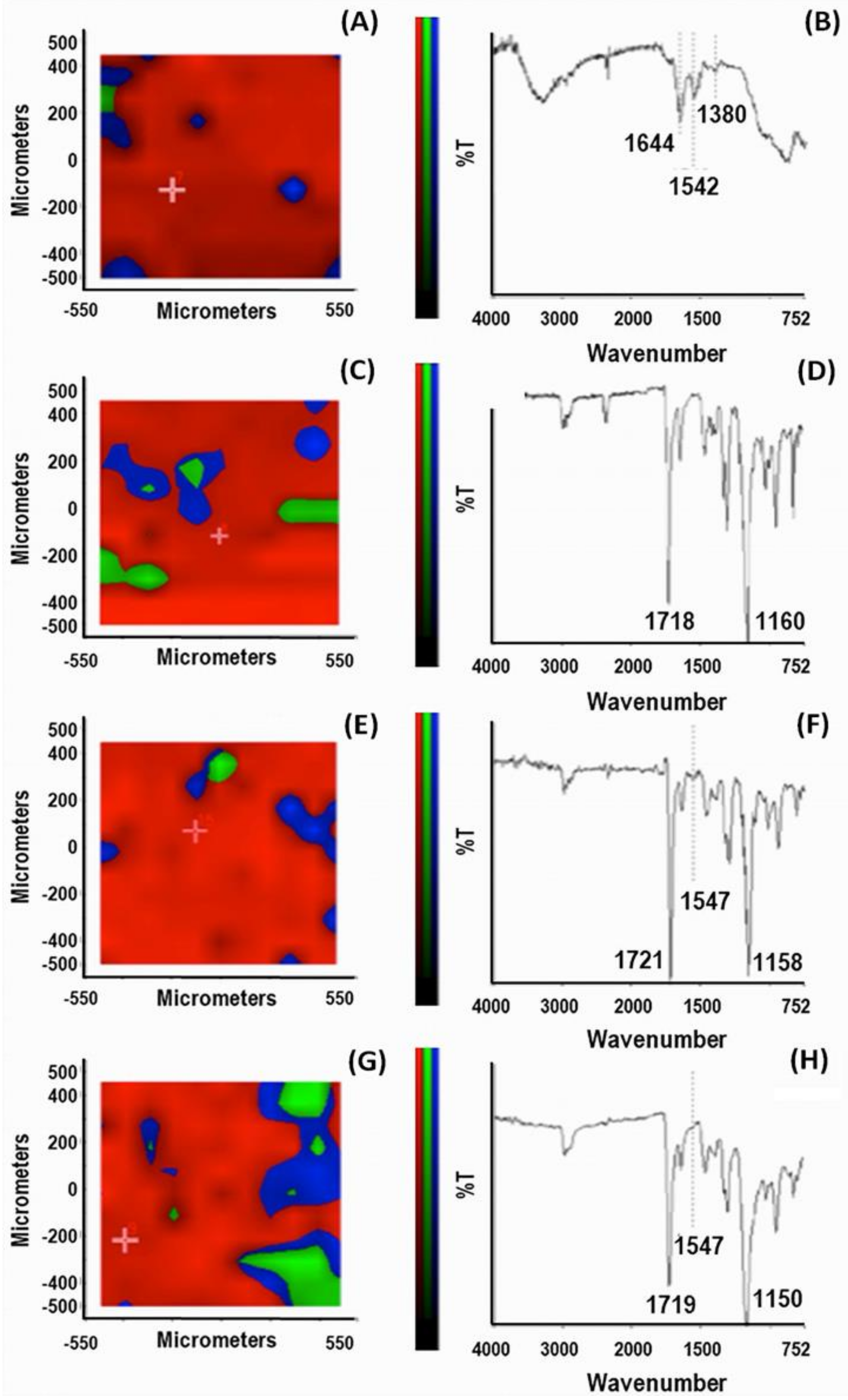 Biomedicines 10 02070 g005 550