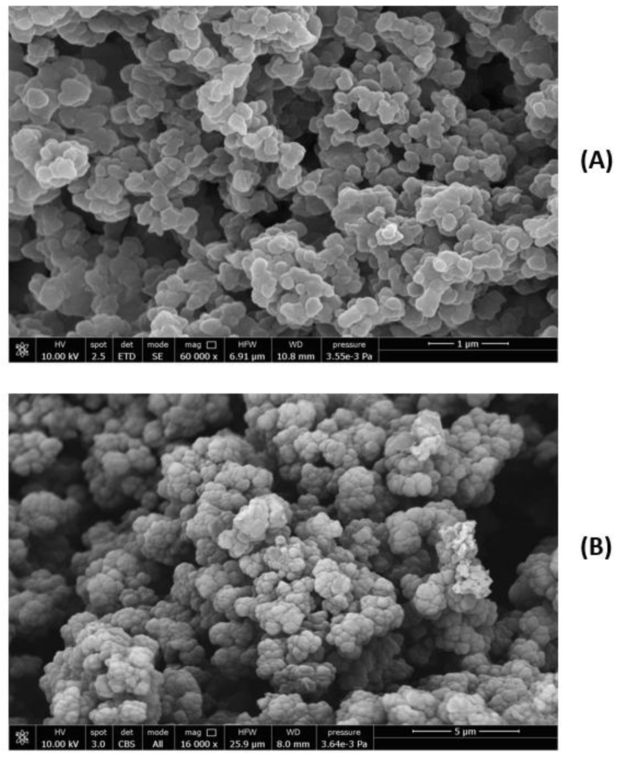 Biomedicines 10 02070 g006 550