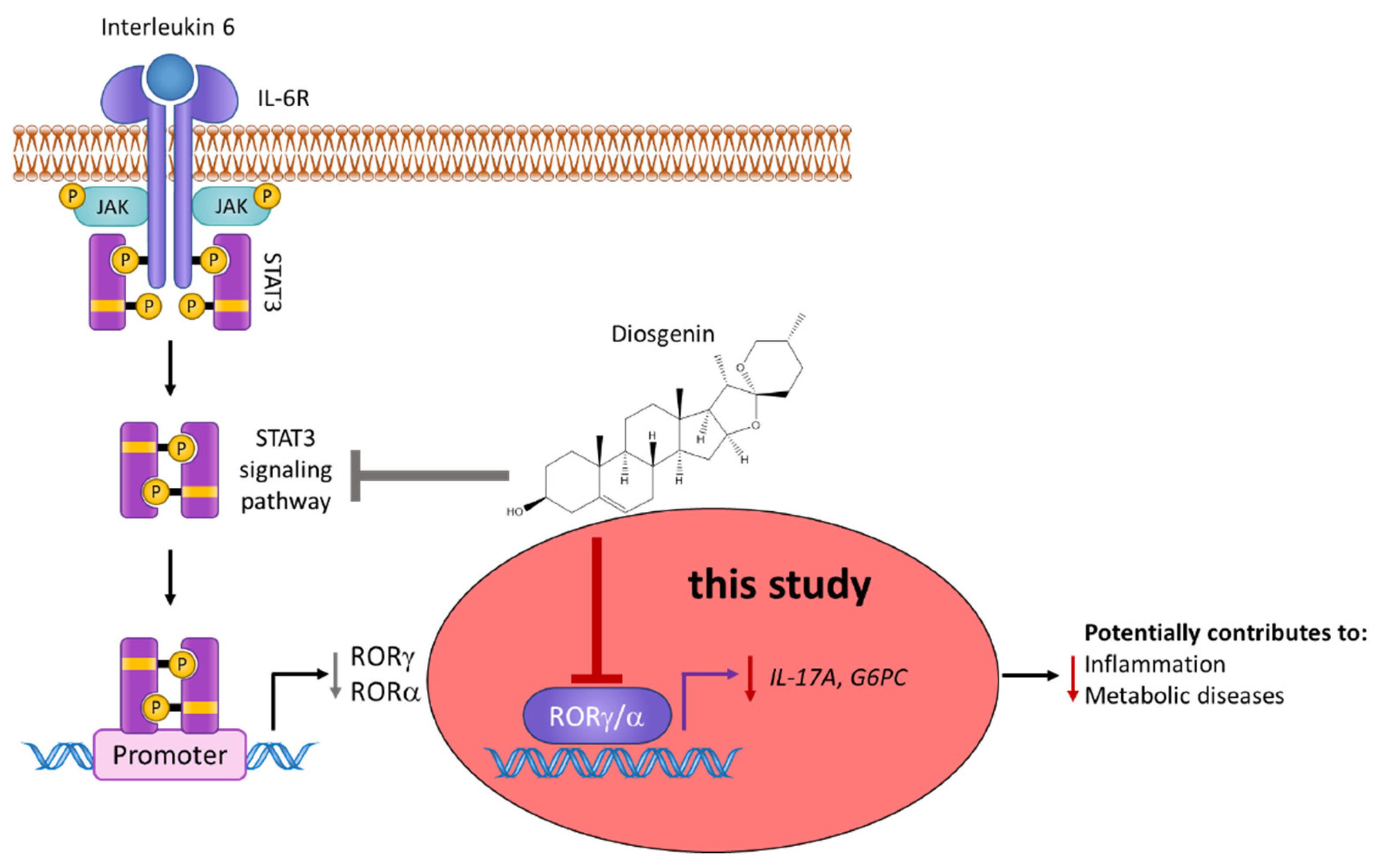 Biomedicines 10 02076 g010 Biomedicines 10 02076 g010