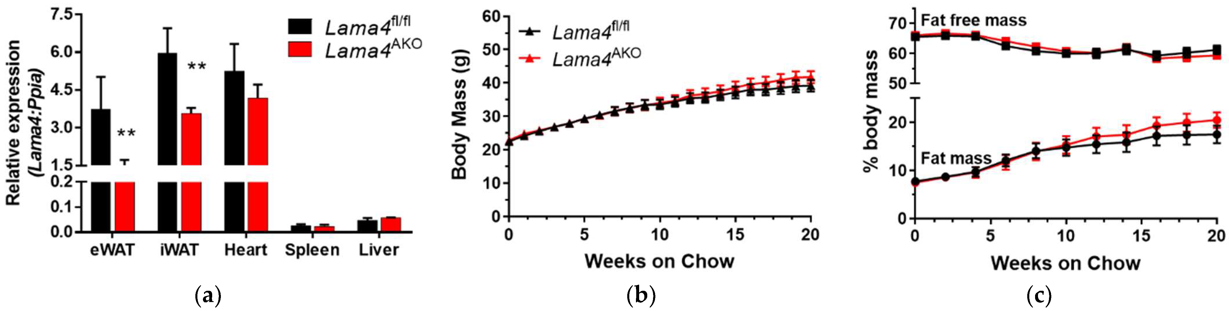 Biomedicines 10 02077 g003a