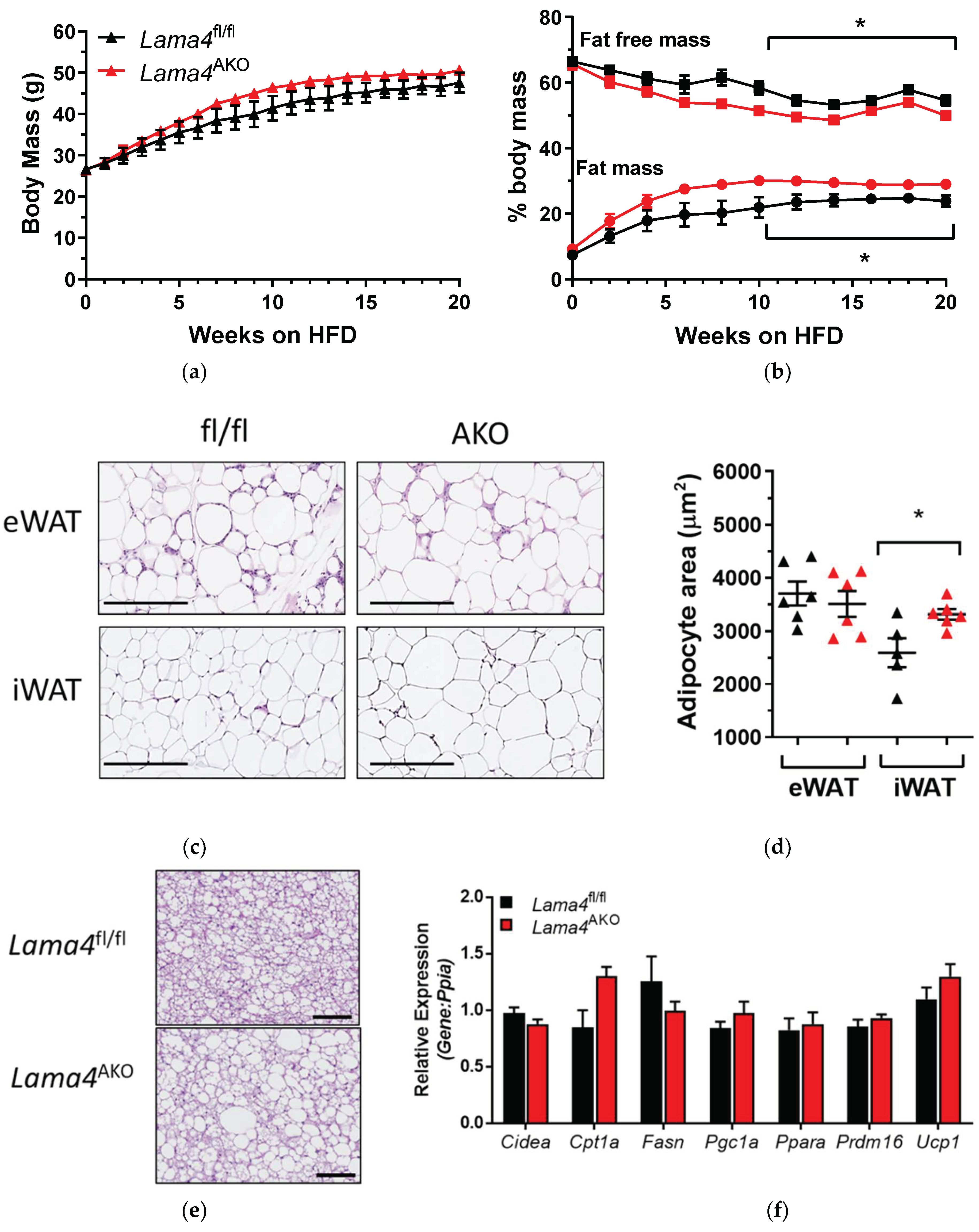 Biomedicines 10 02077 g005