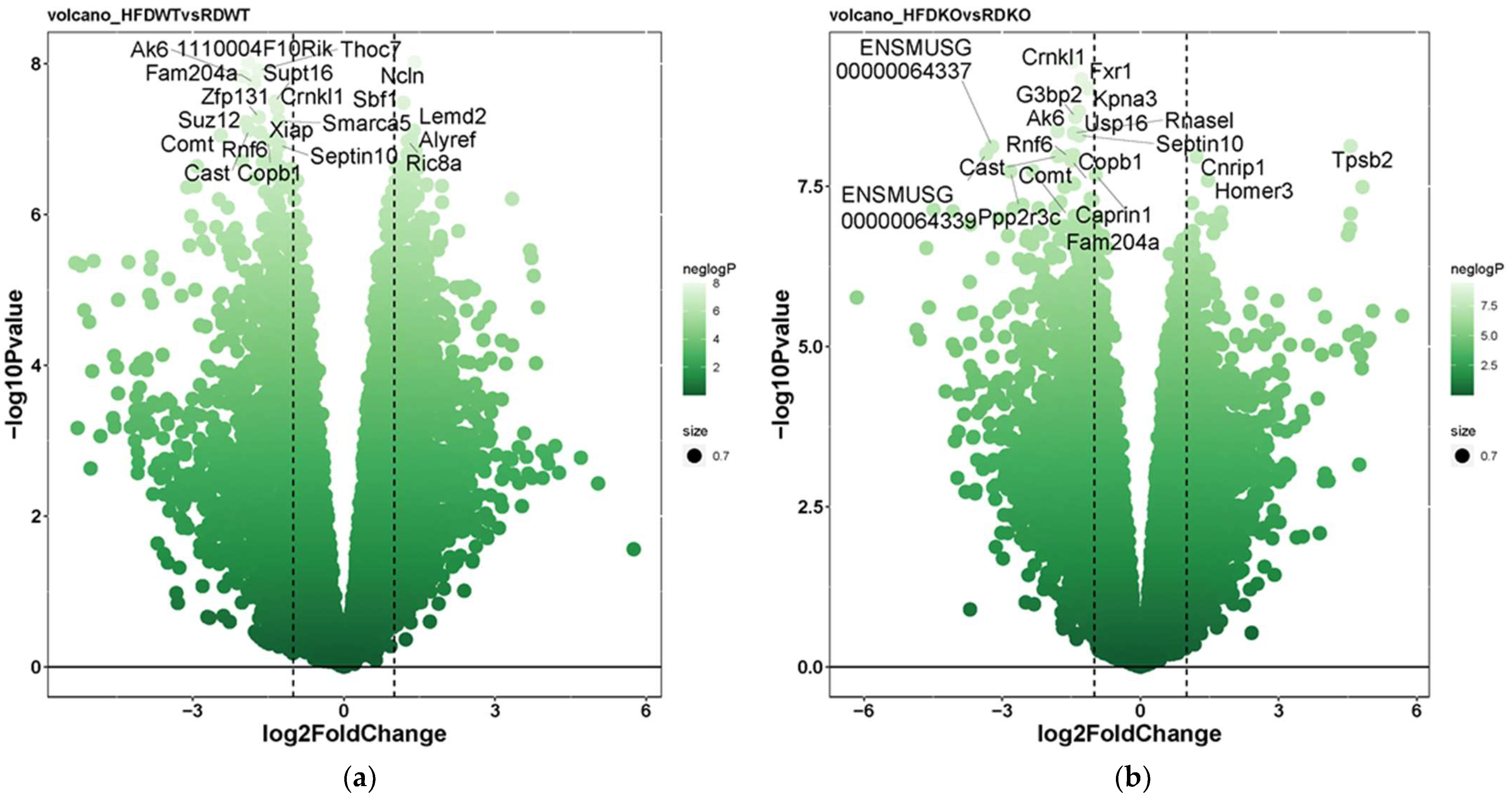 Biomedicines 10 02077 g007a