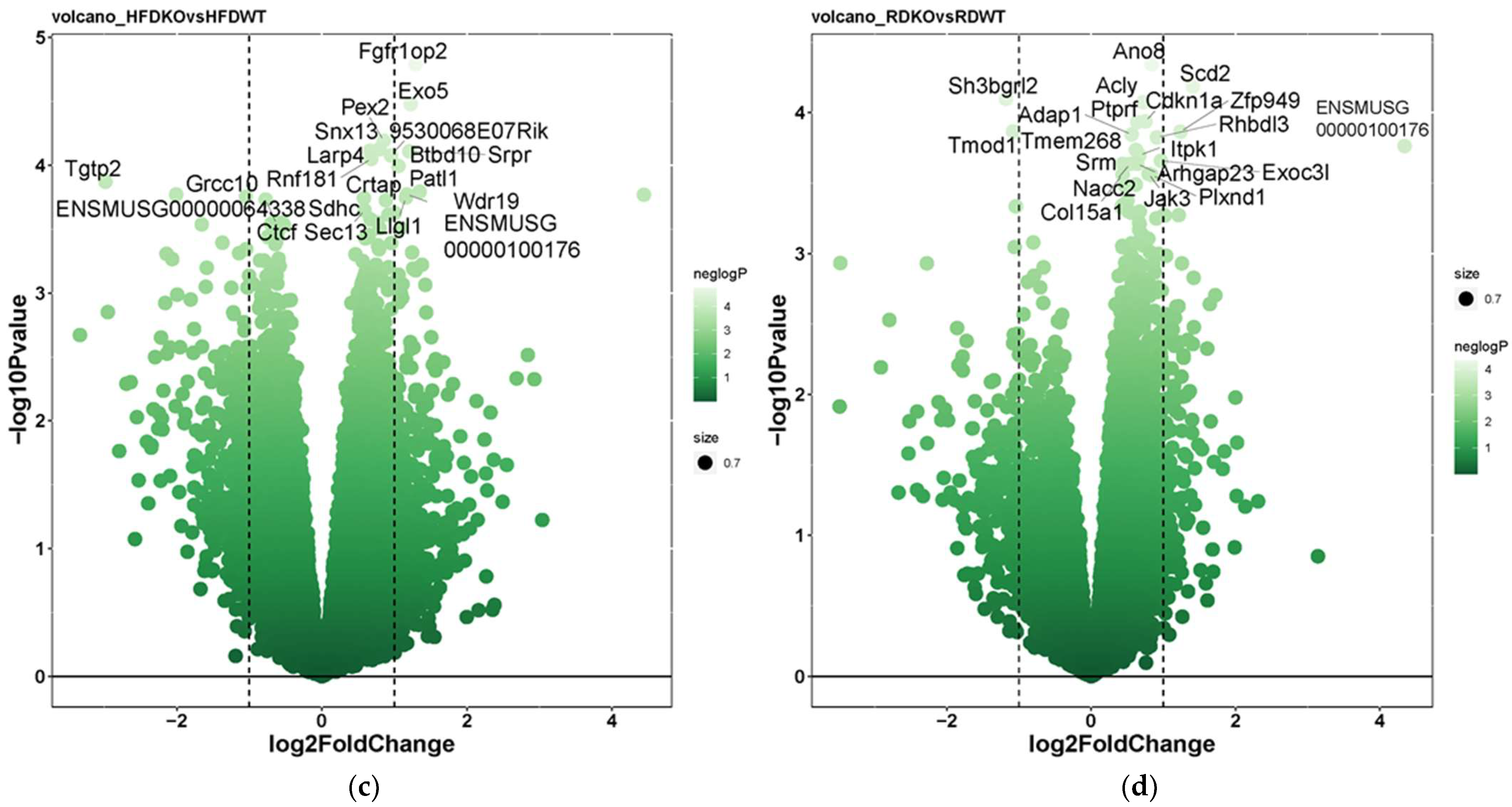 Biomedicines 10 02077 g007b