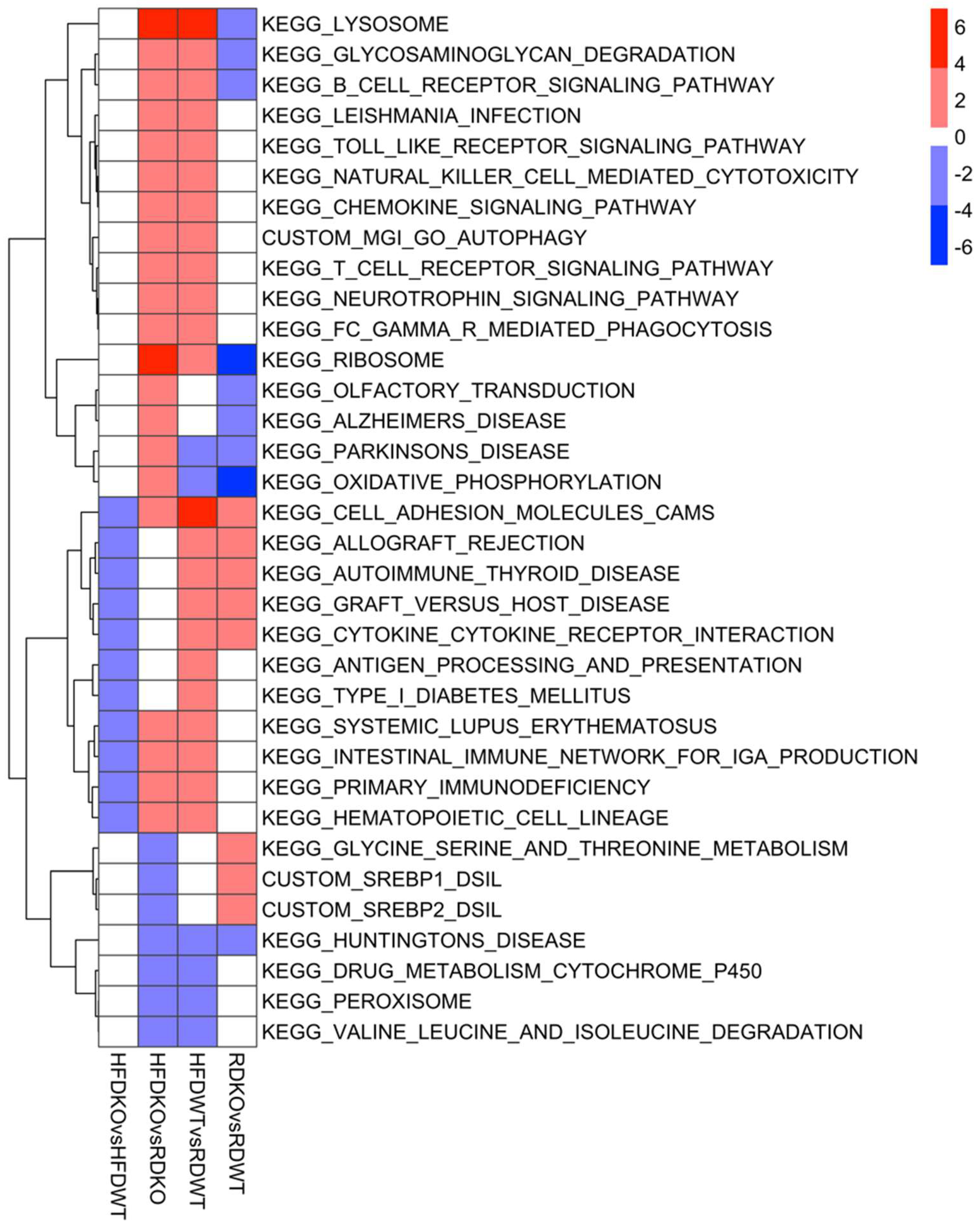 Biomedicines 10 02077 g010