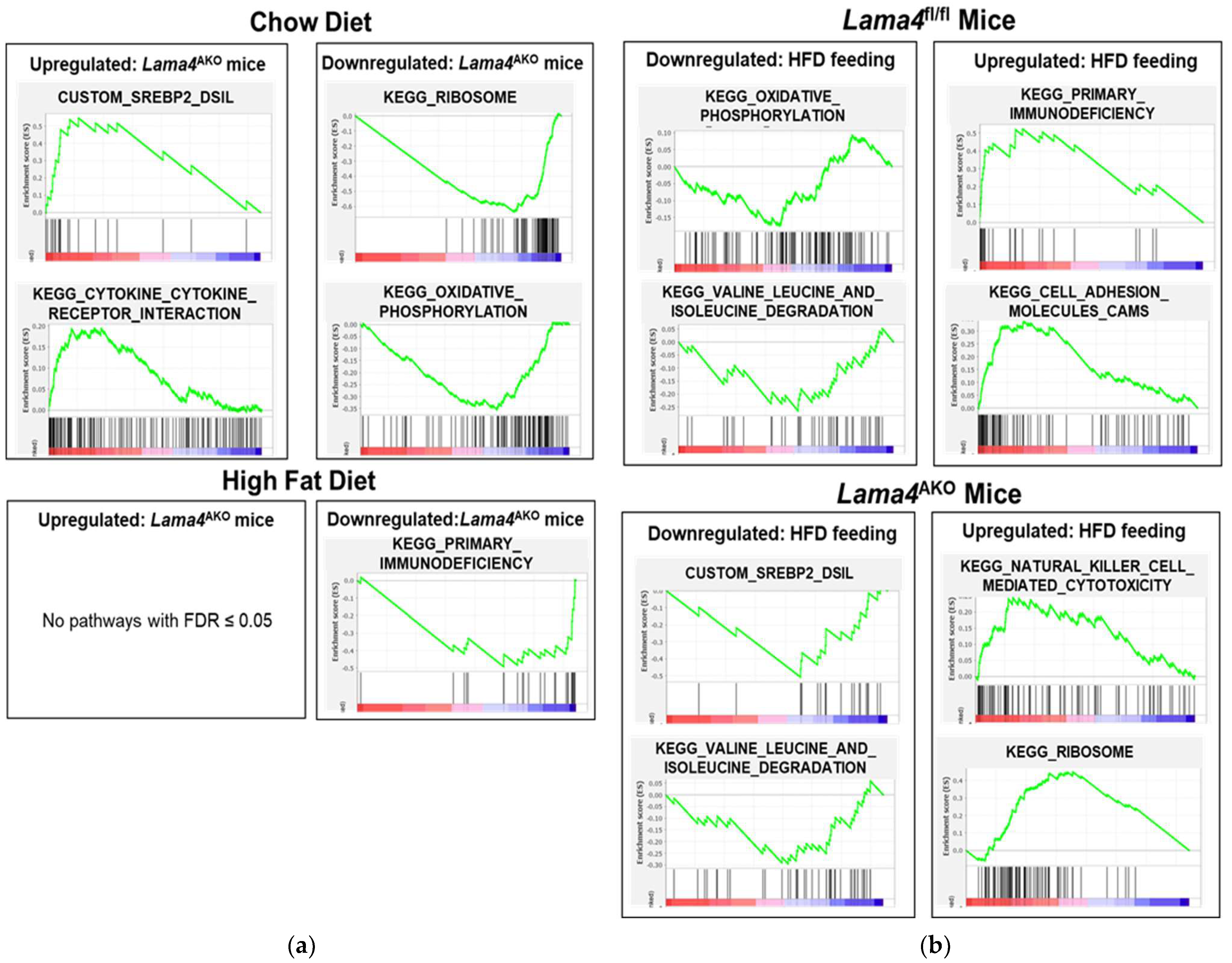 Biomedicines 10 02077 g011