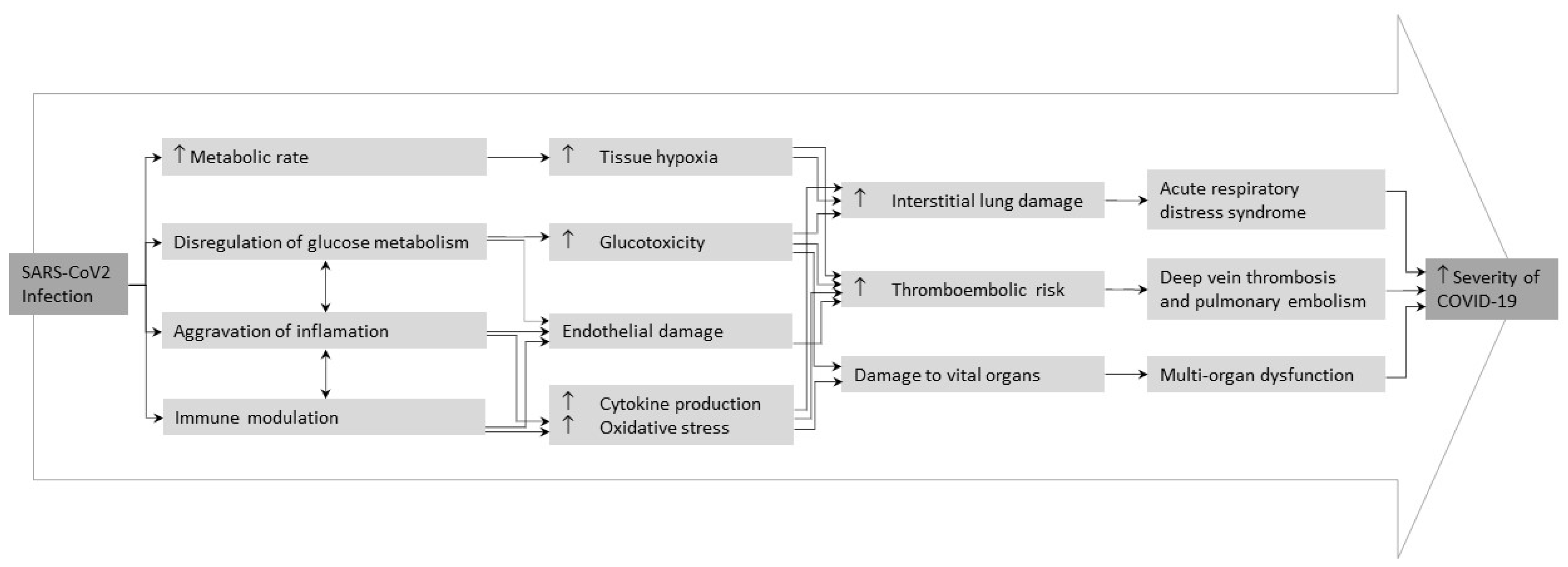 Biomedicines 10 02089 g002