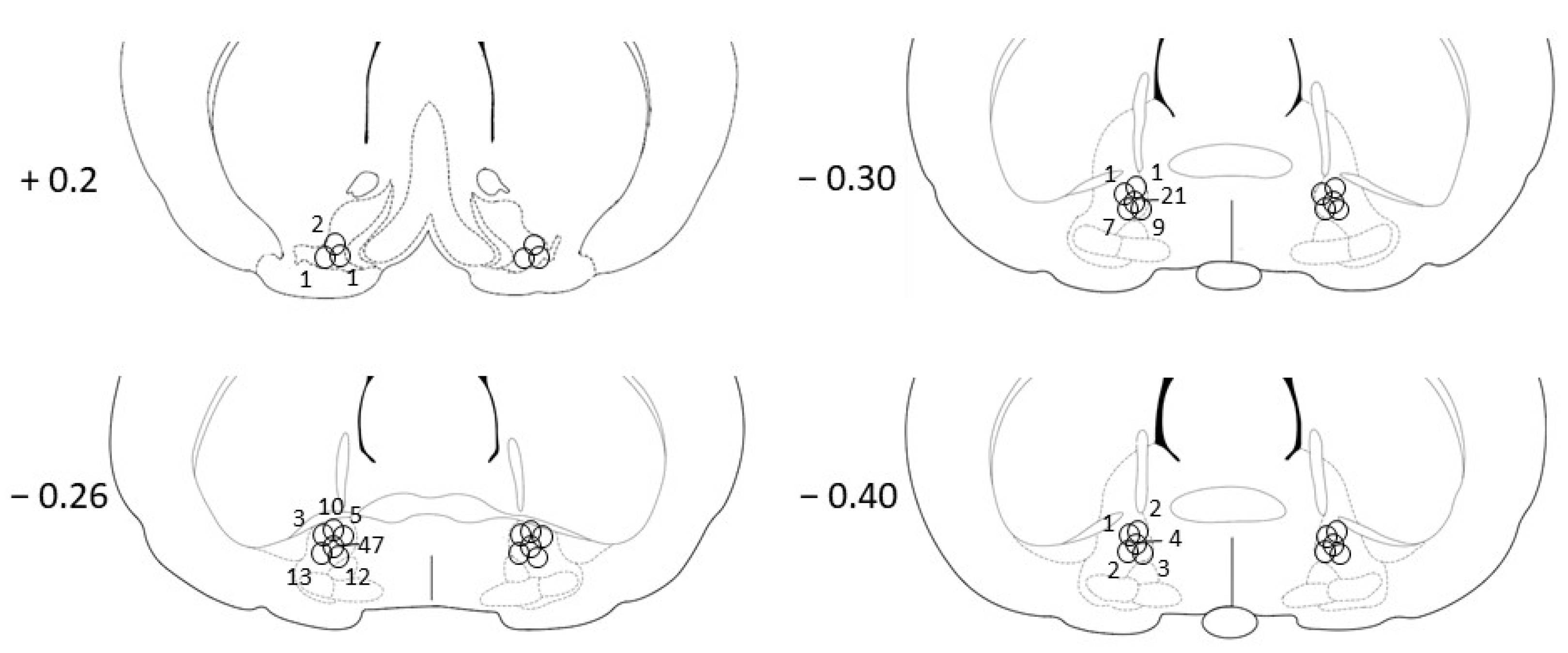 Biomedicines 10 02104 g001