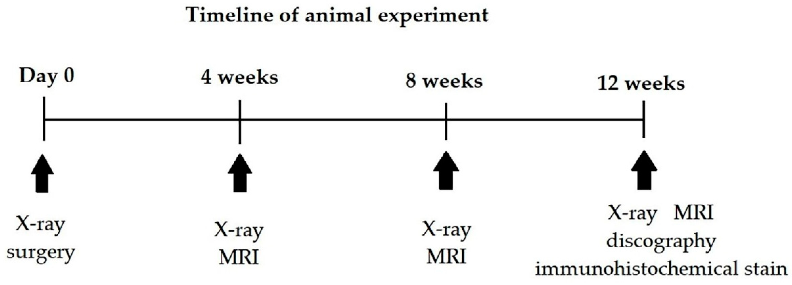 Biomedicines 10 02107 g001
