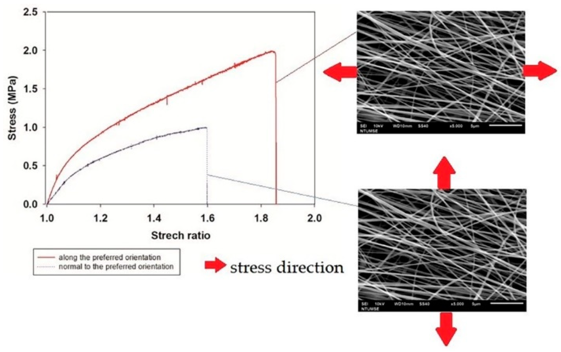Biomedicines 10 02107 g003