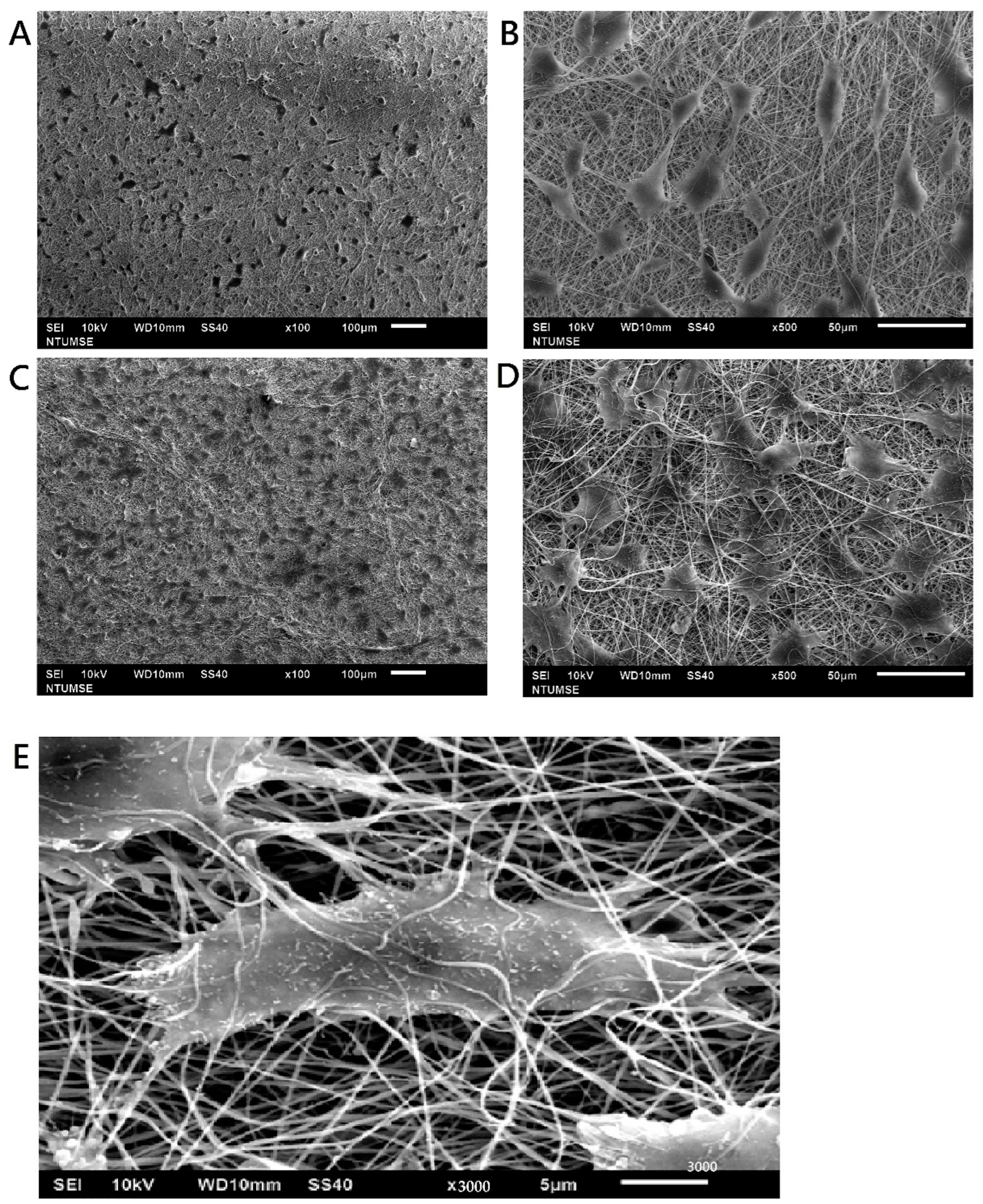 Biomedicines 10 02107 g007