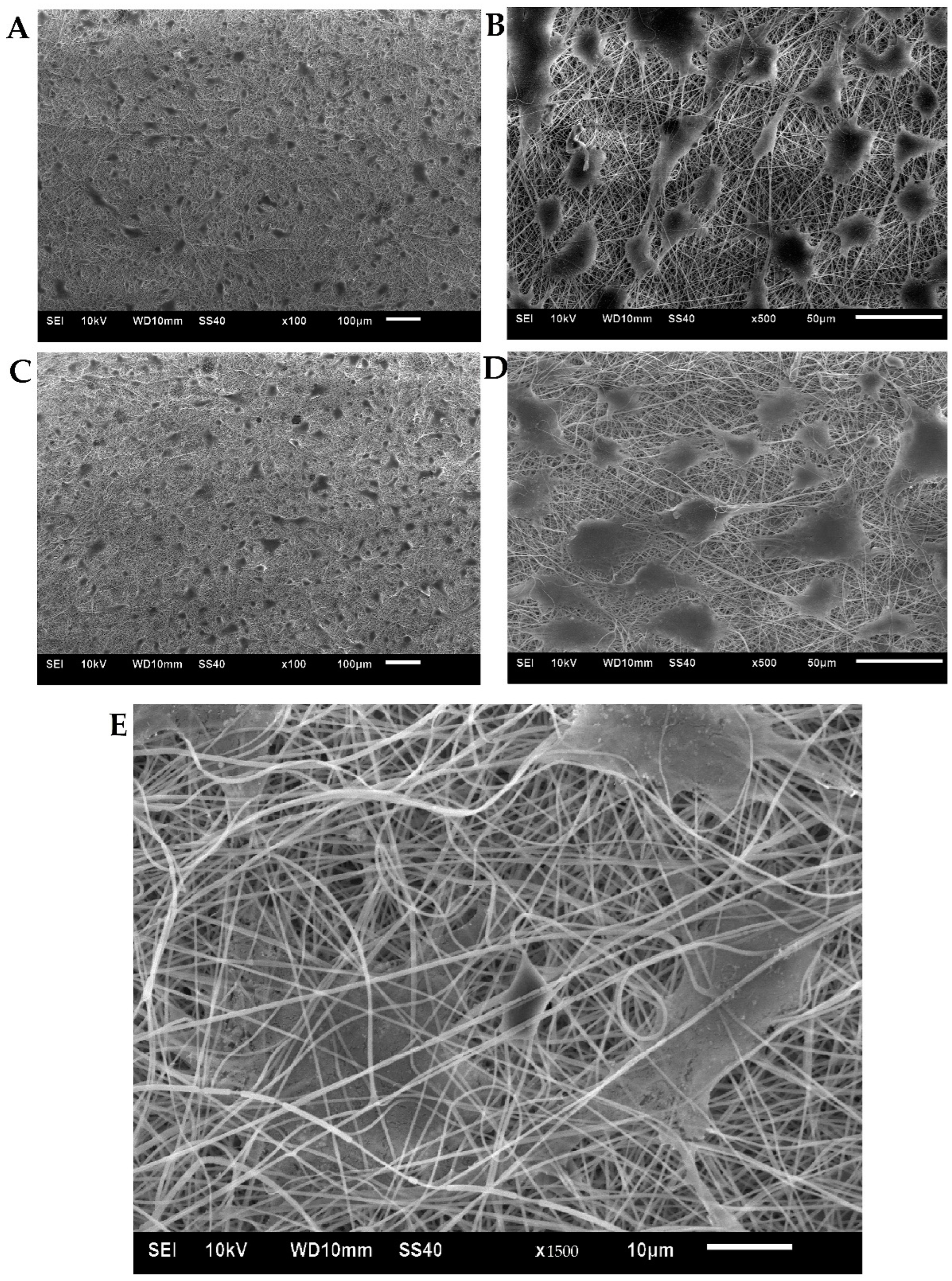Biomedicines 10 02107 g008