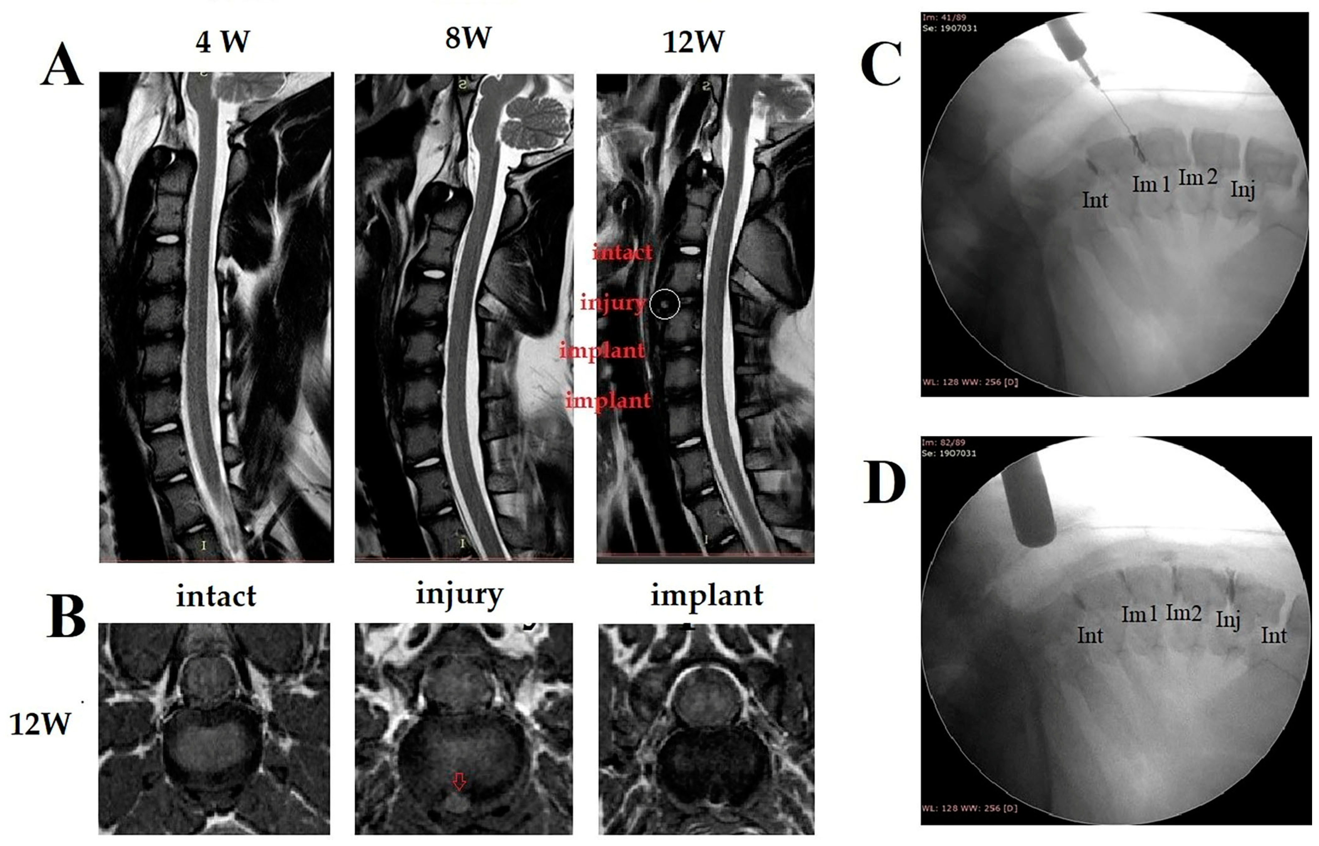 Biomedicines 10 02107 g010