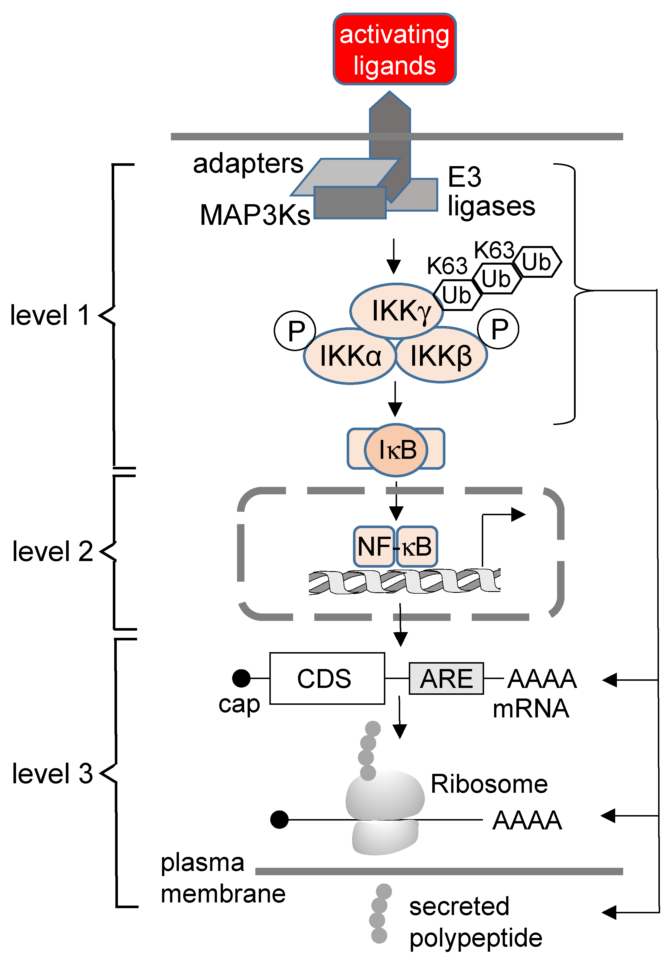 Biomedicines 10 02108 g001 550