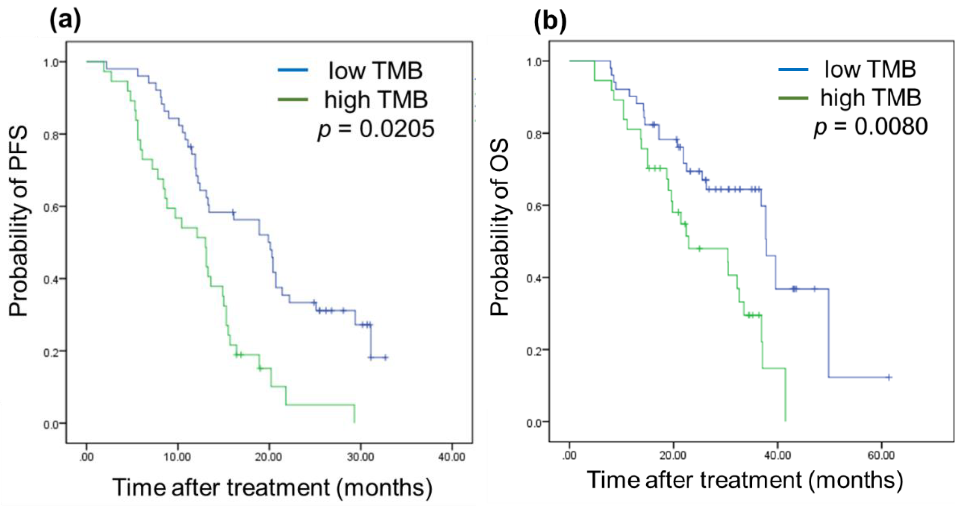 Biomedicines 10 02109 g002 Biomedicines 10 02109 g002