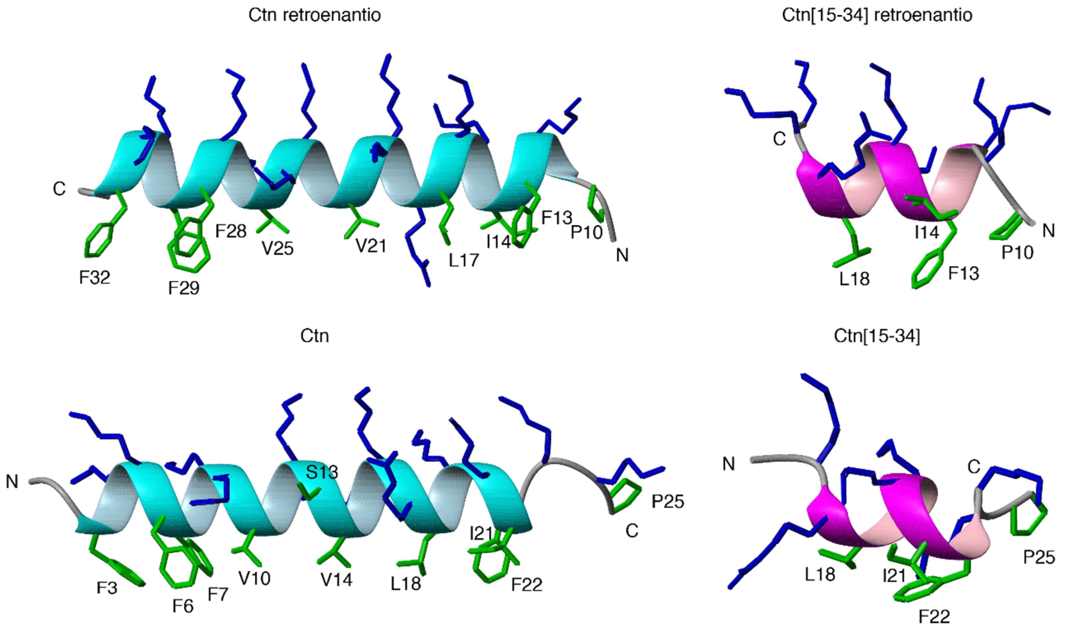 Biomedicines 10 02110 g006