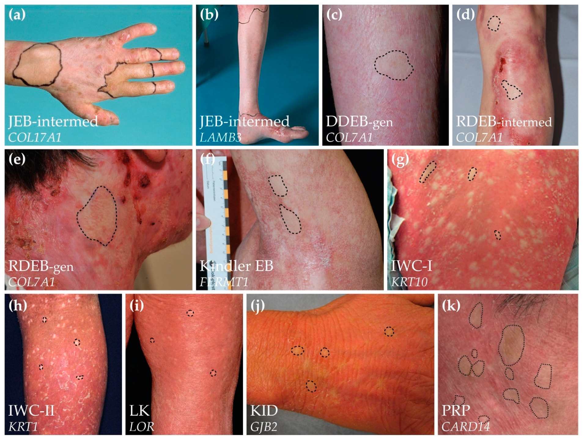 Biomedicines 10 02118 g002 Biomedicines 10 02118 g002