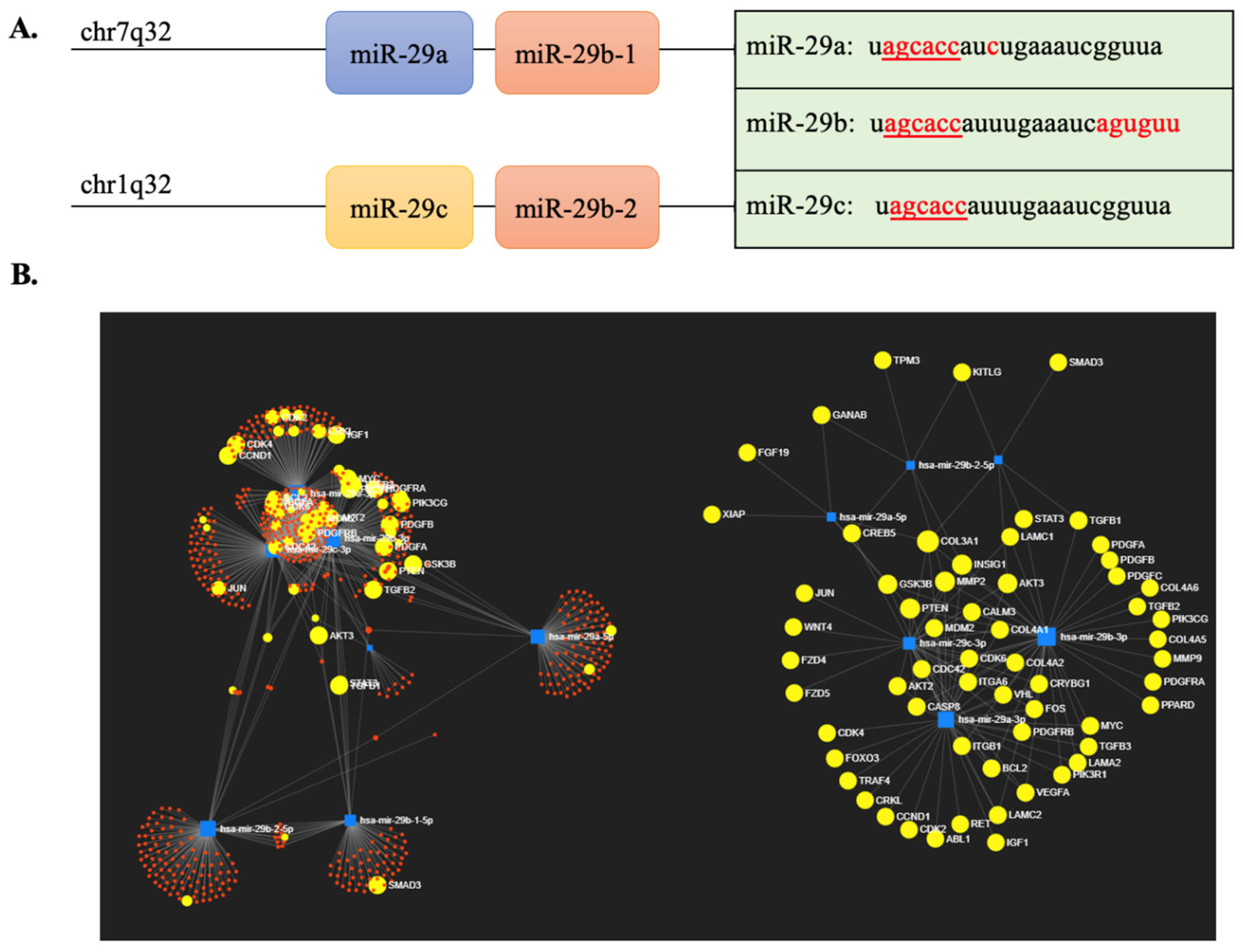 Biomedicines 10 02121 g001 Biomedicines 10 02121 g001