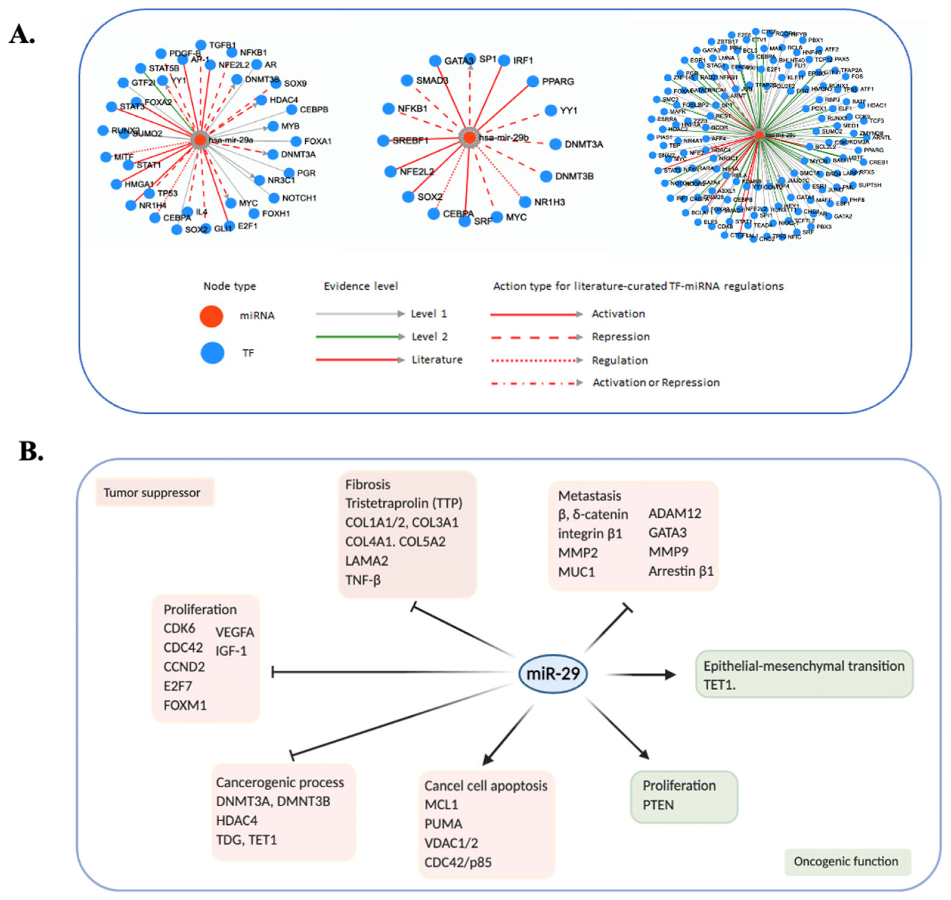 Biomedicines 10 02121 g002 Biomedicines 10 02121 g002