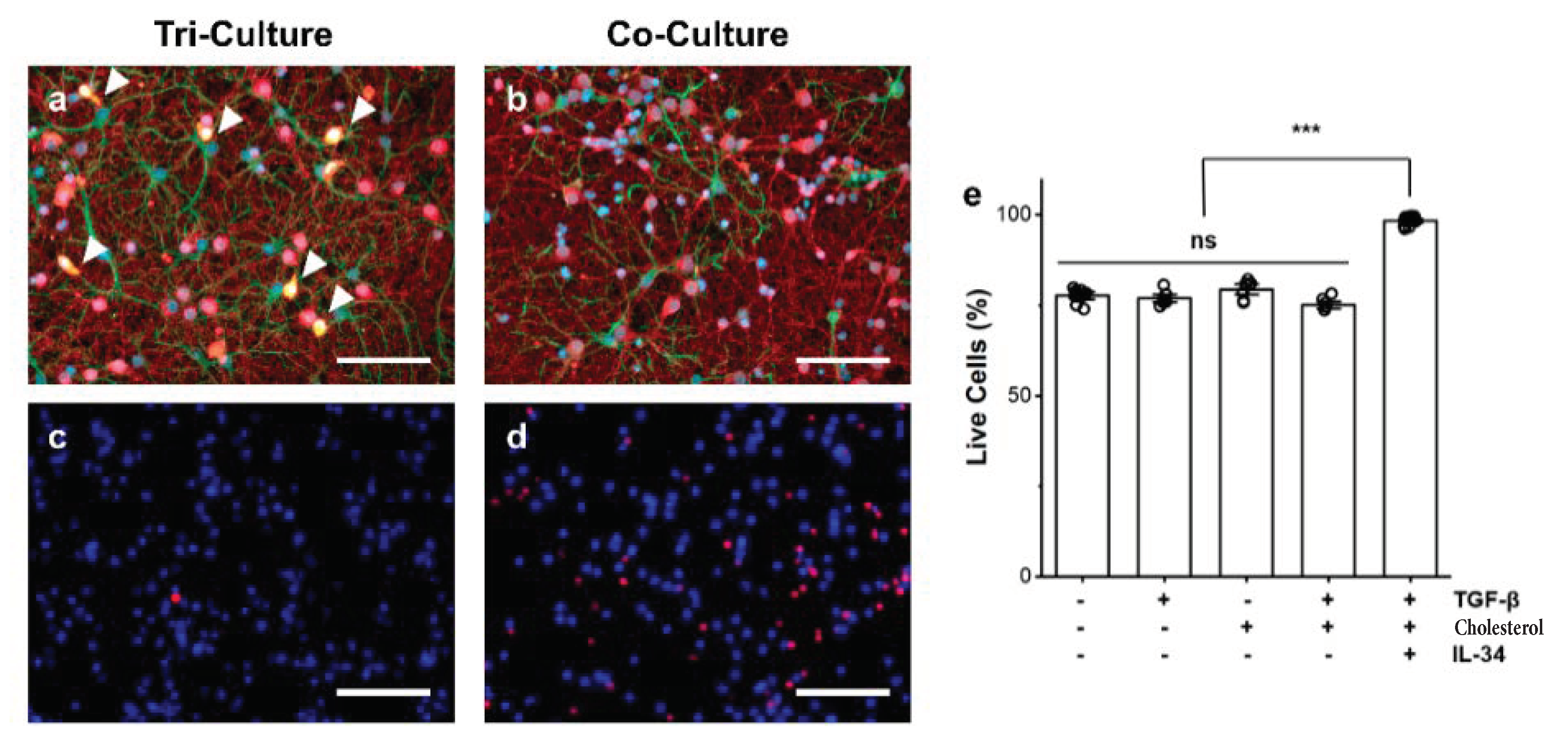 Biomedicines 10 02122 g001
