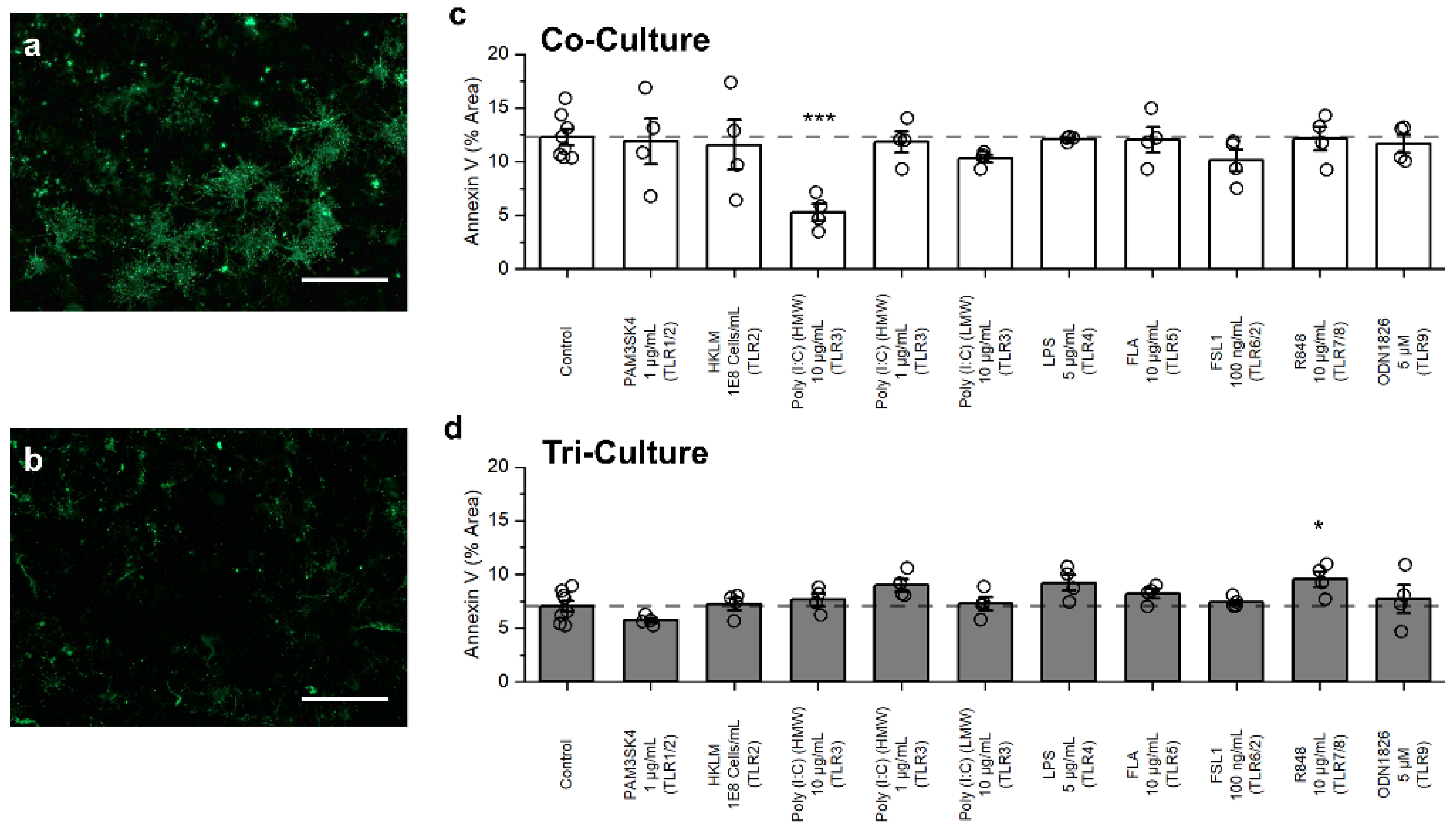 Biomedicines 10 02122 g003