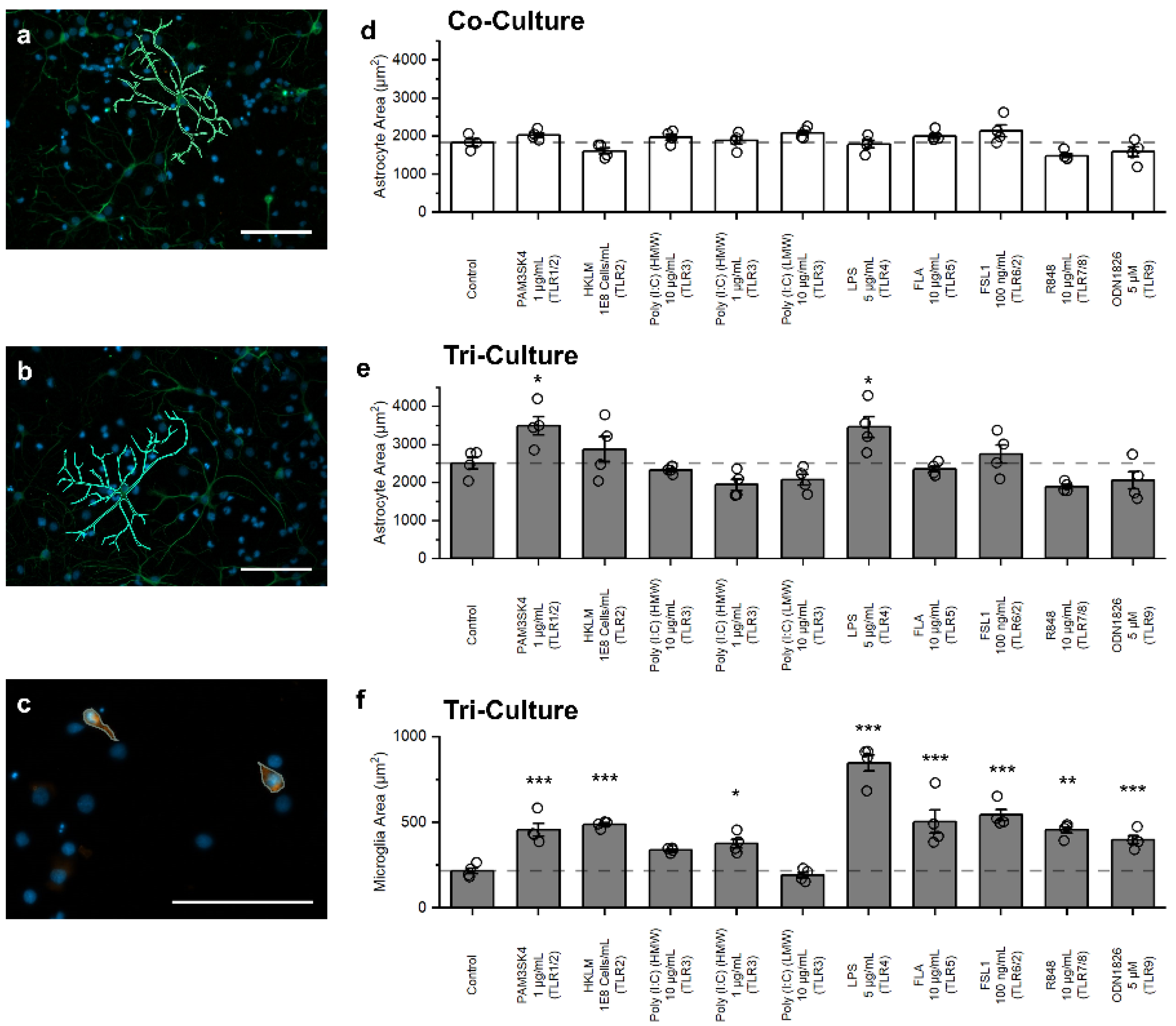 Biomedicines 10 02122 g004
