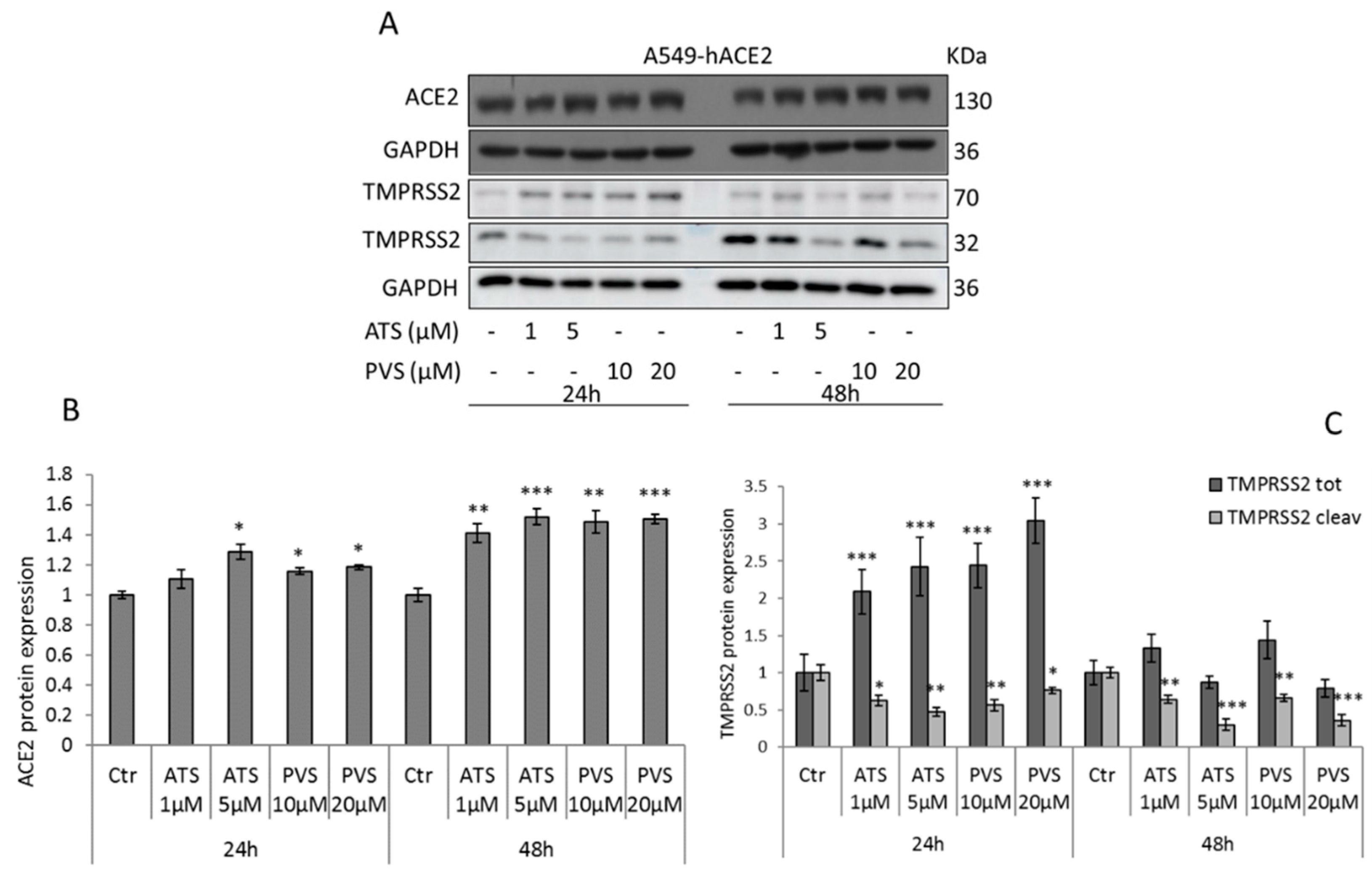 Biomedicines 10 02123 g001 Biomedicines 10 02123 g001
