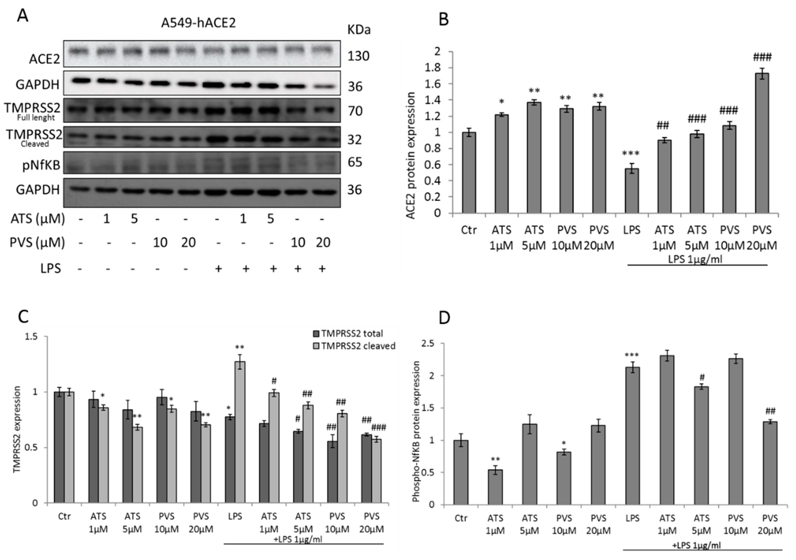 Biomedicines 10 02123 g002 Biomedicines 10 02123 g002