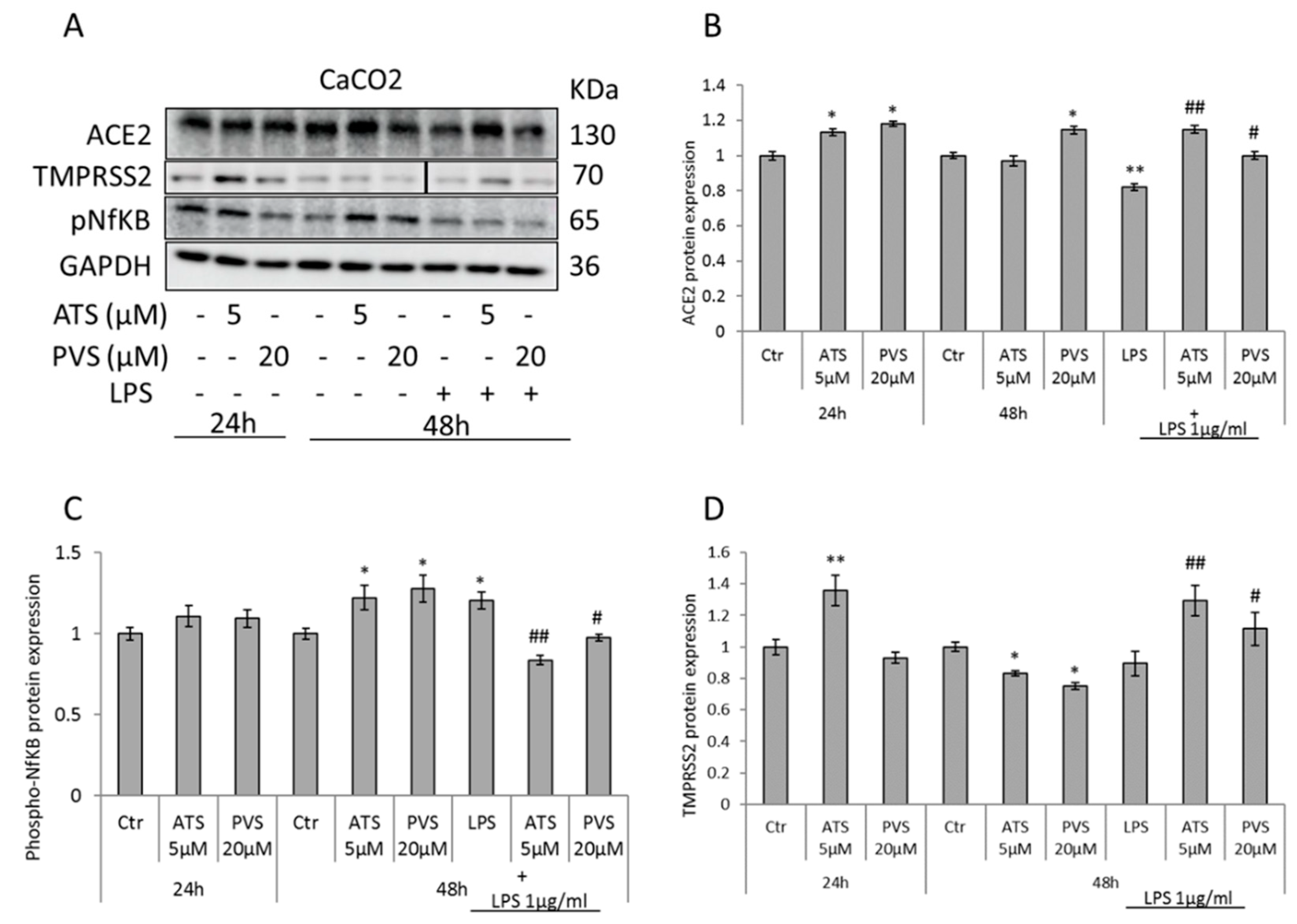 Biomedicines 10 02123 g003 Biomedicines 10 02123 g003
