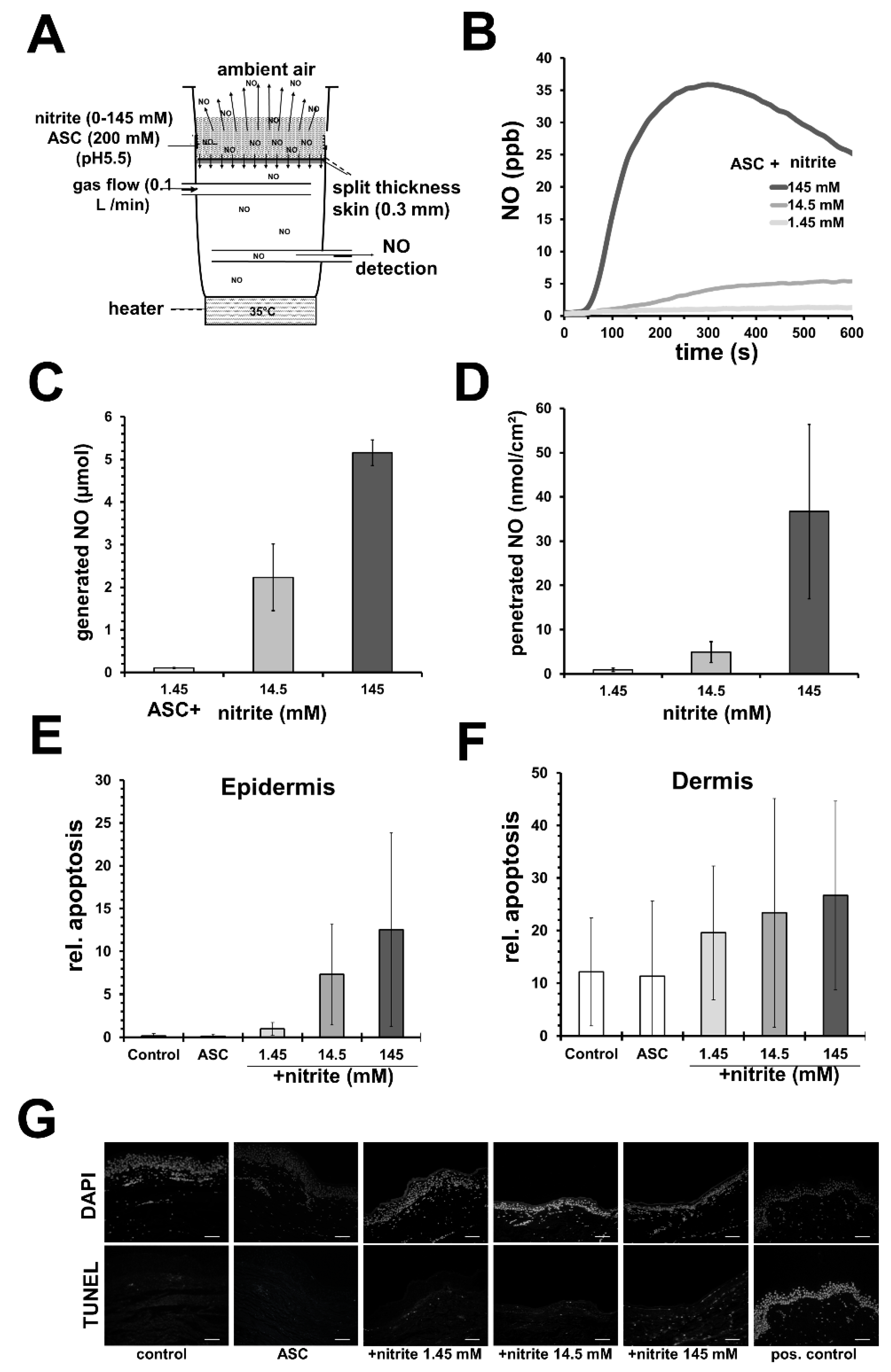 Biomedicines 10 02124 g002 Biomedicines 10 02124 g002