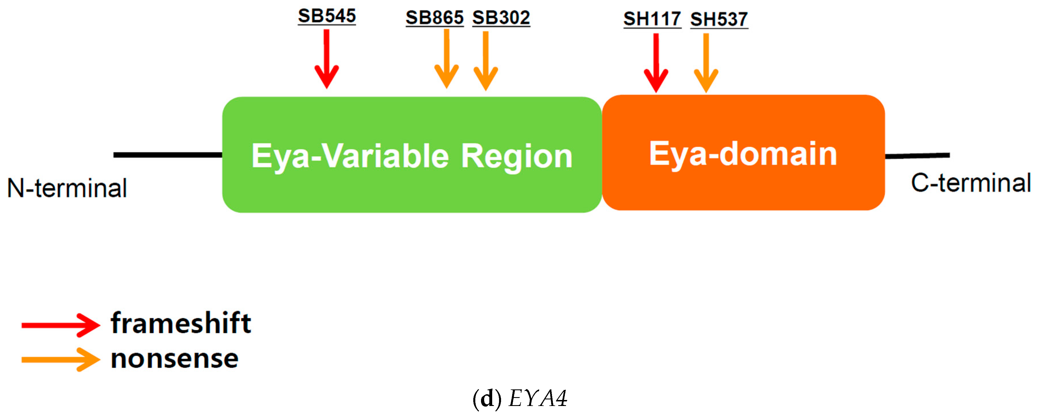 Biomedicines 10 02125 g001b