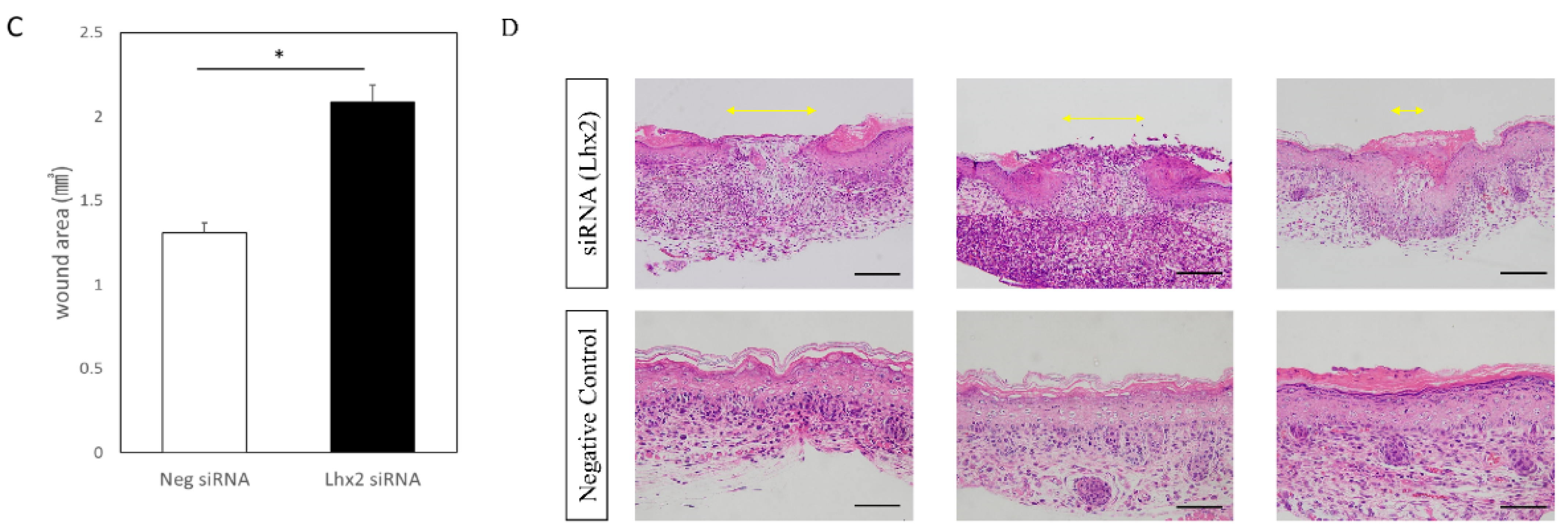 Biomedicines 10 02132 g003b 550