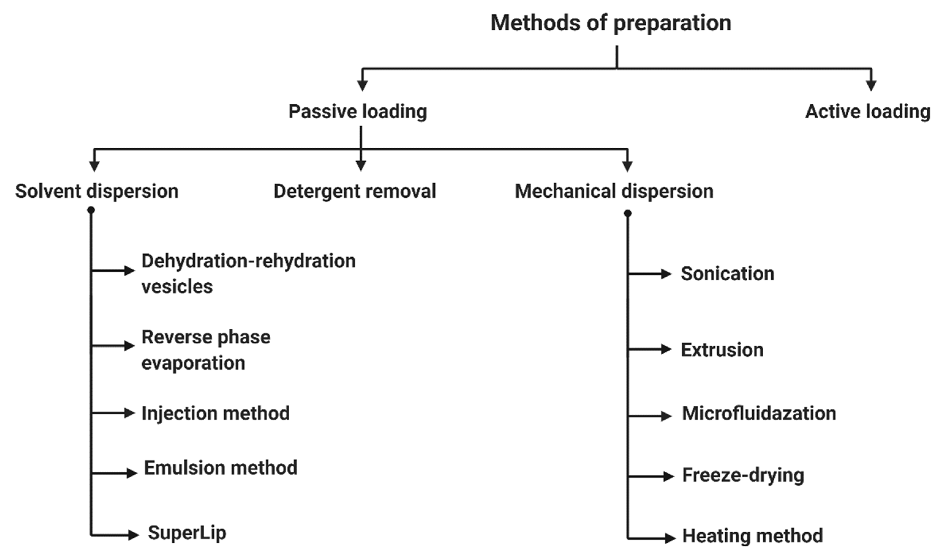 Biomedicines 10 02137 g002