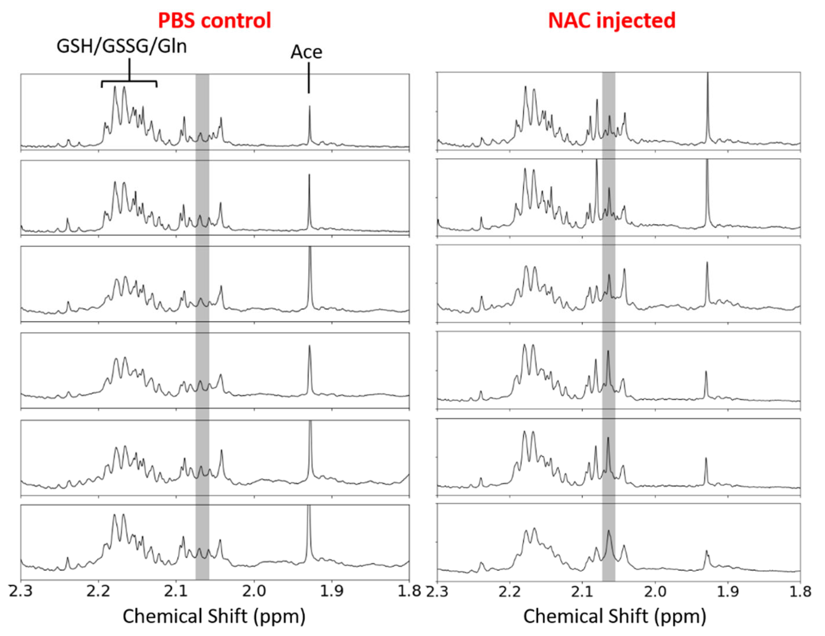 Biomedicines 10 02138 g005
