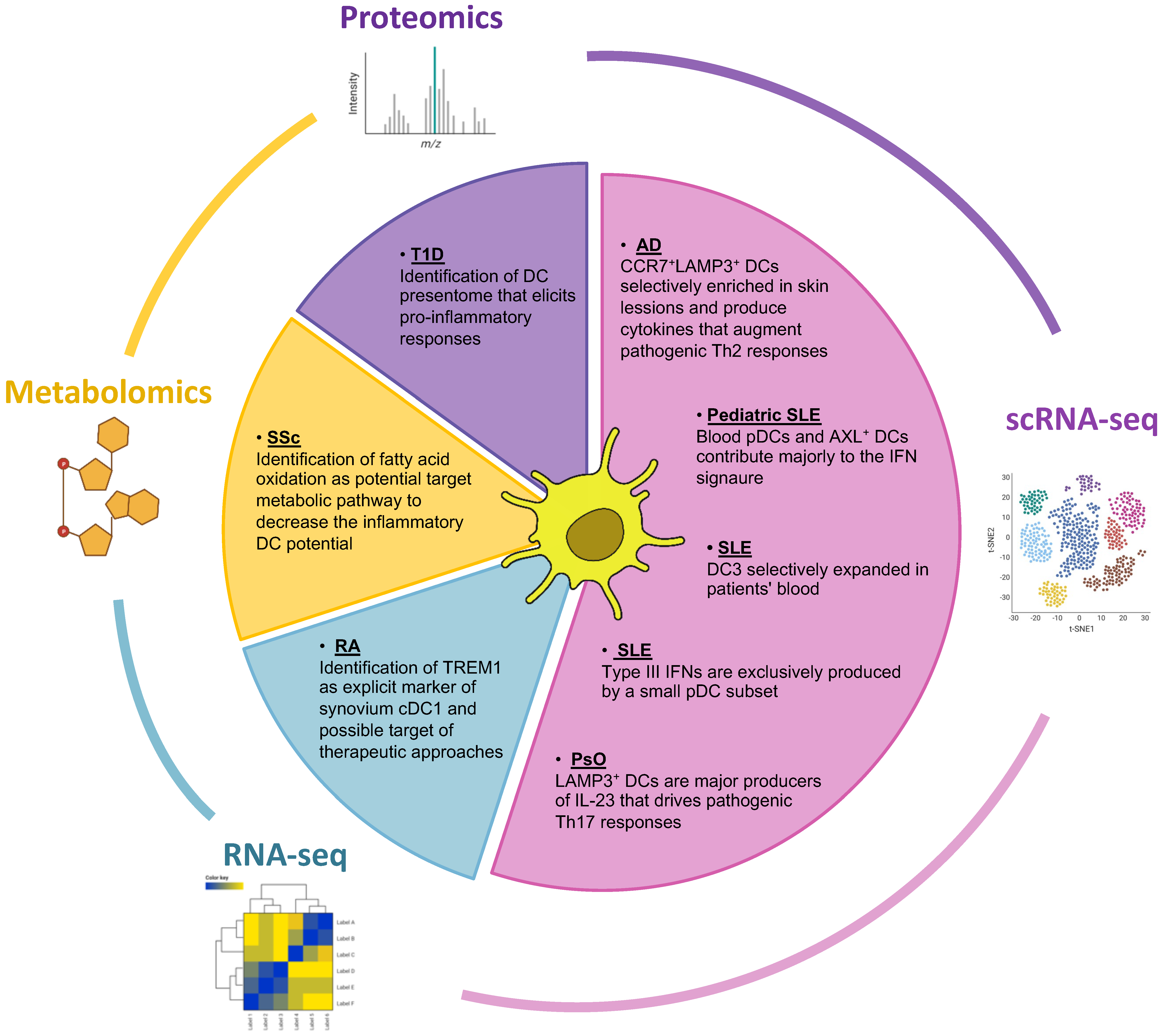 https://www.mdpi.com/biomedicines/biomedicines-10-02140/article_deploy/html/images/biomedicines-10-02140-g002.png