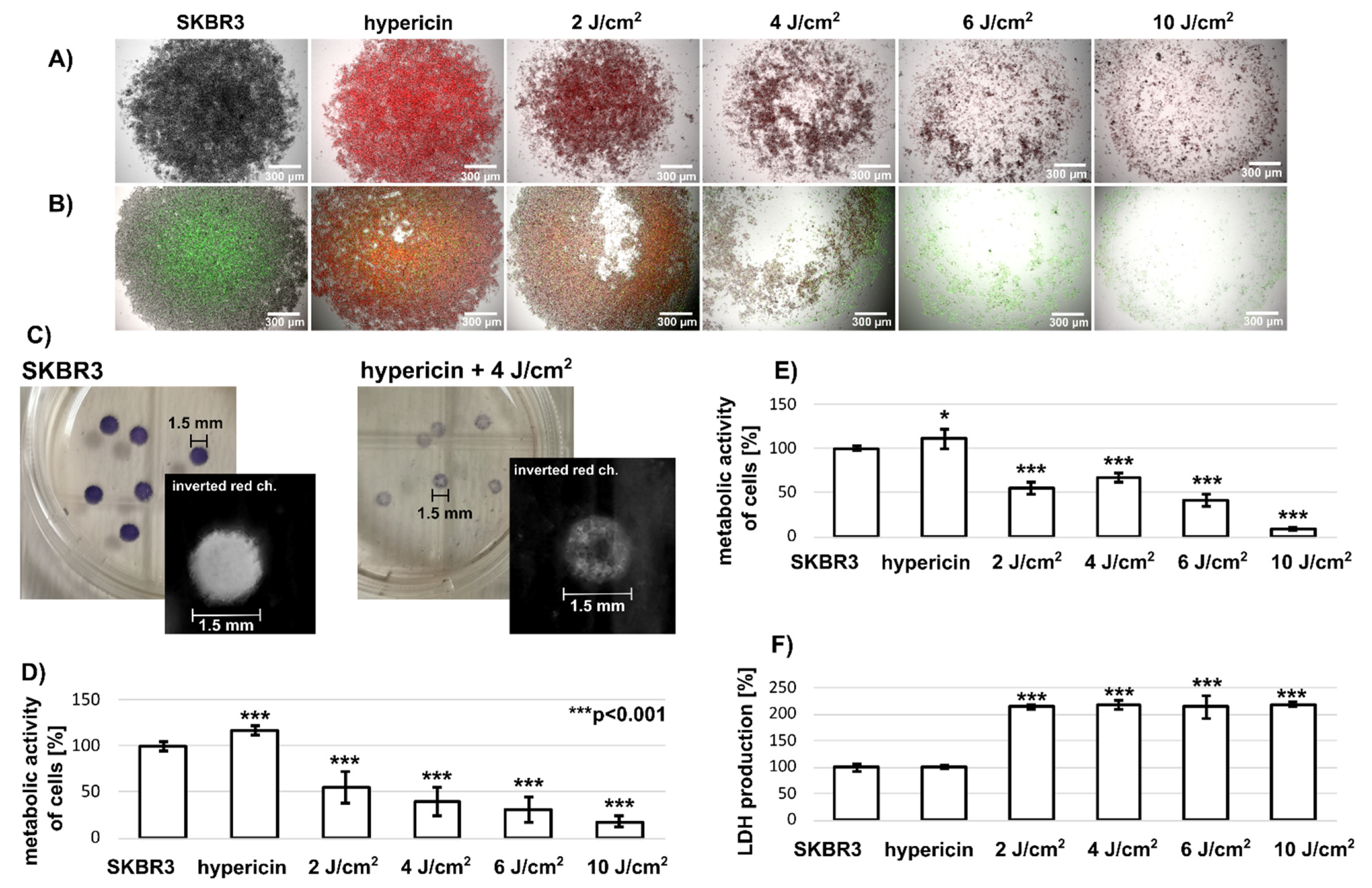 Biomedicines 10 02141 g001 Biomedicines 10 02141 g001