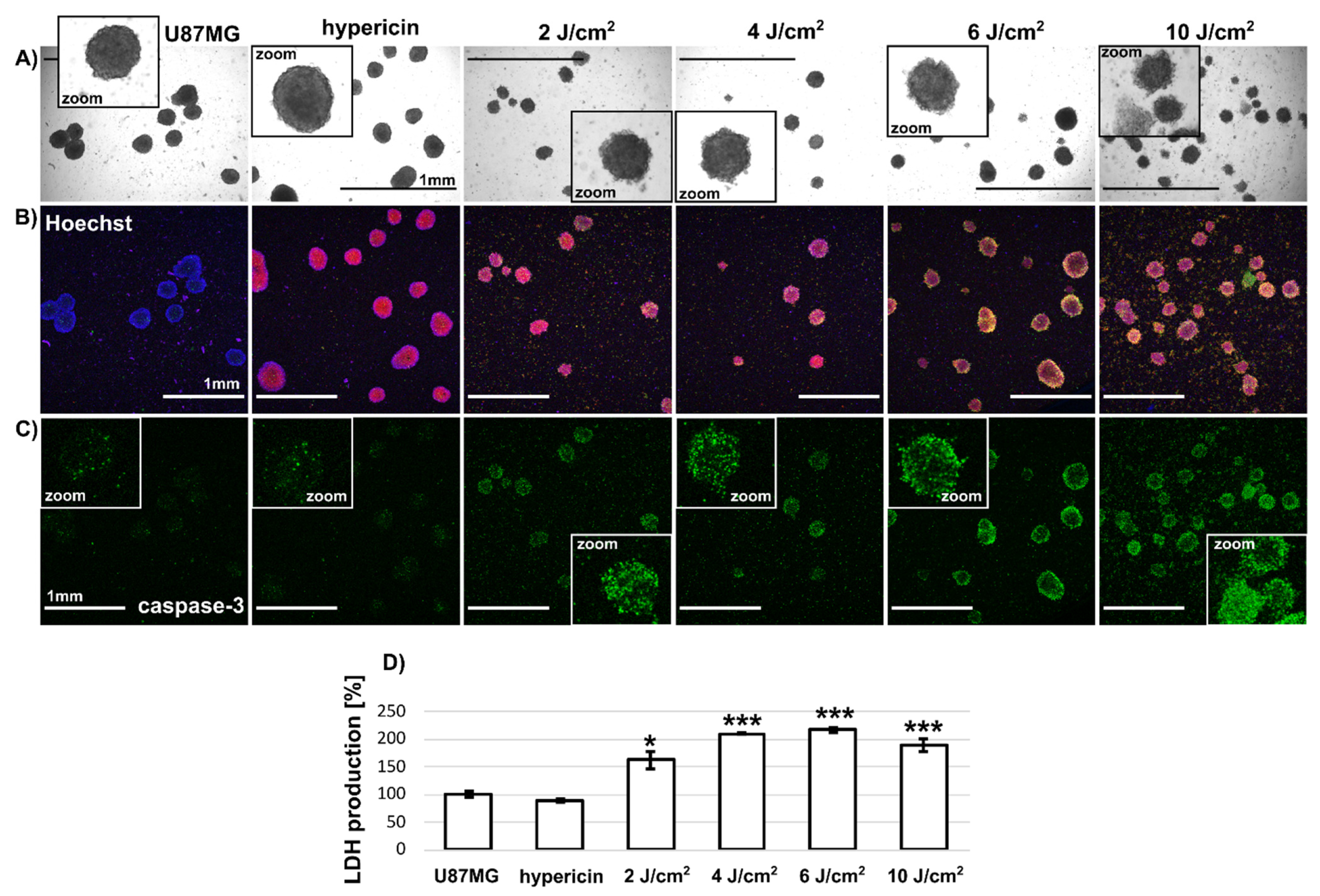 Biomedicines 10 02141 g006 Biomedicines 10 02141 g006