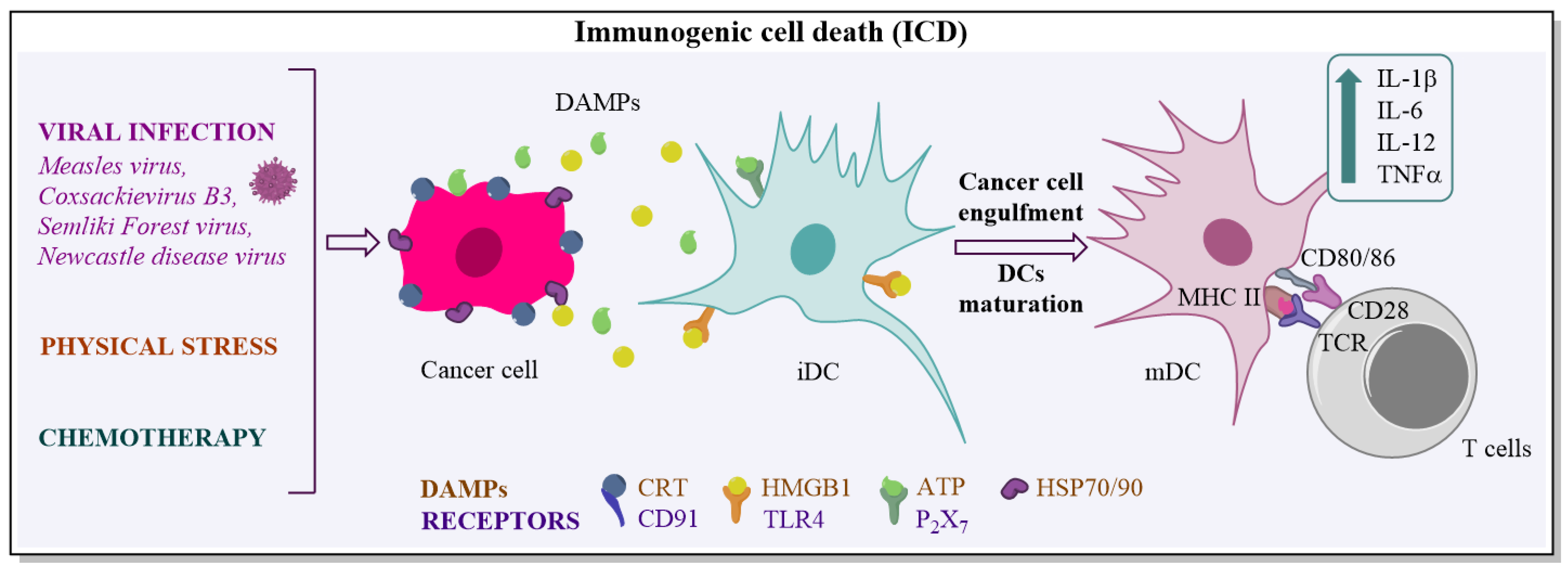 Biomedicines | Free Full-Text | Recombinant Viral Vectors for Therapeutic  Programming of Tumour Microenvironment: Advantages and Limitations