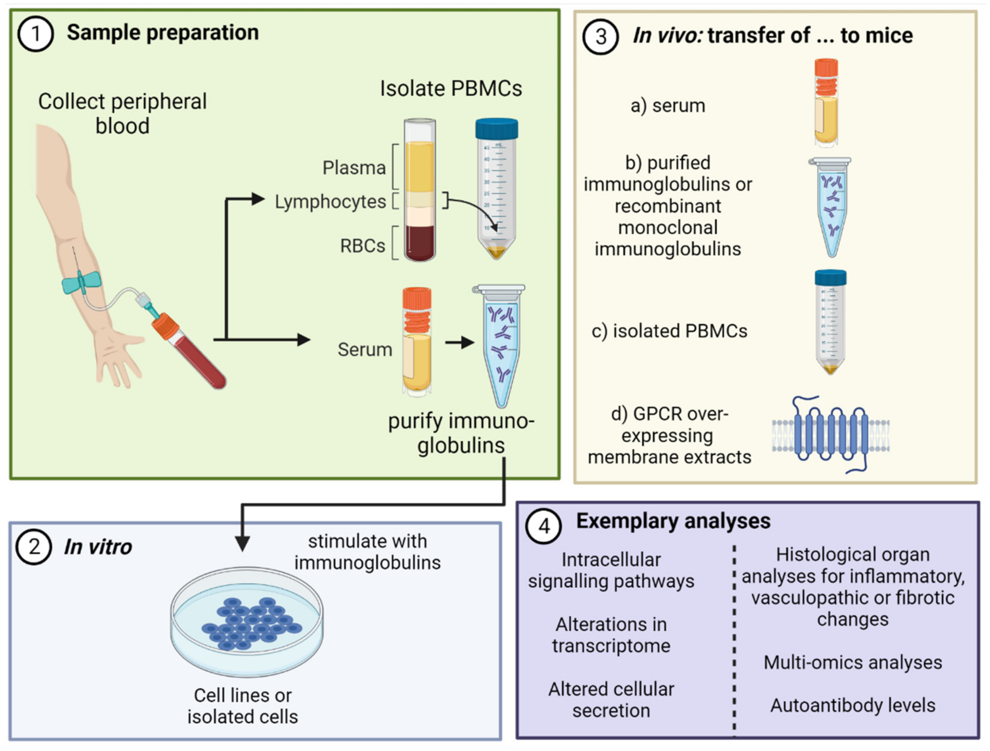 Biomedicines 10 02150 g002