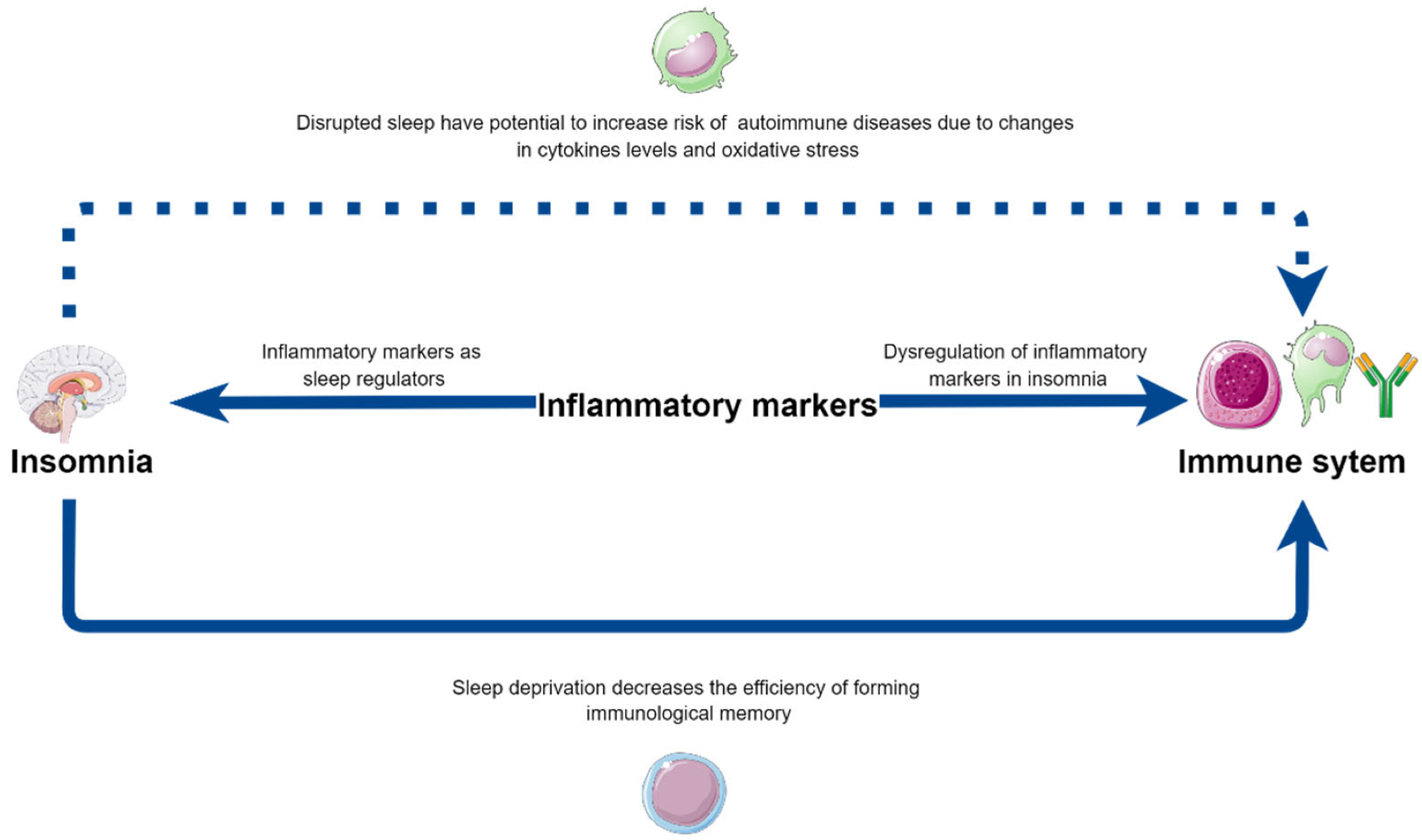 Biomedicines 10 02159 g002