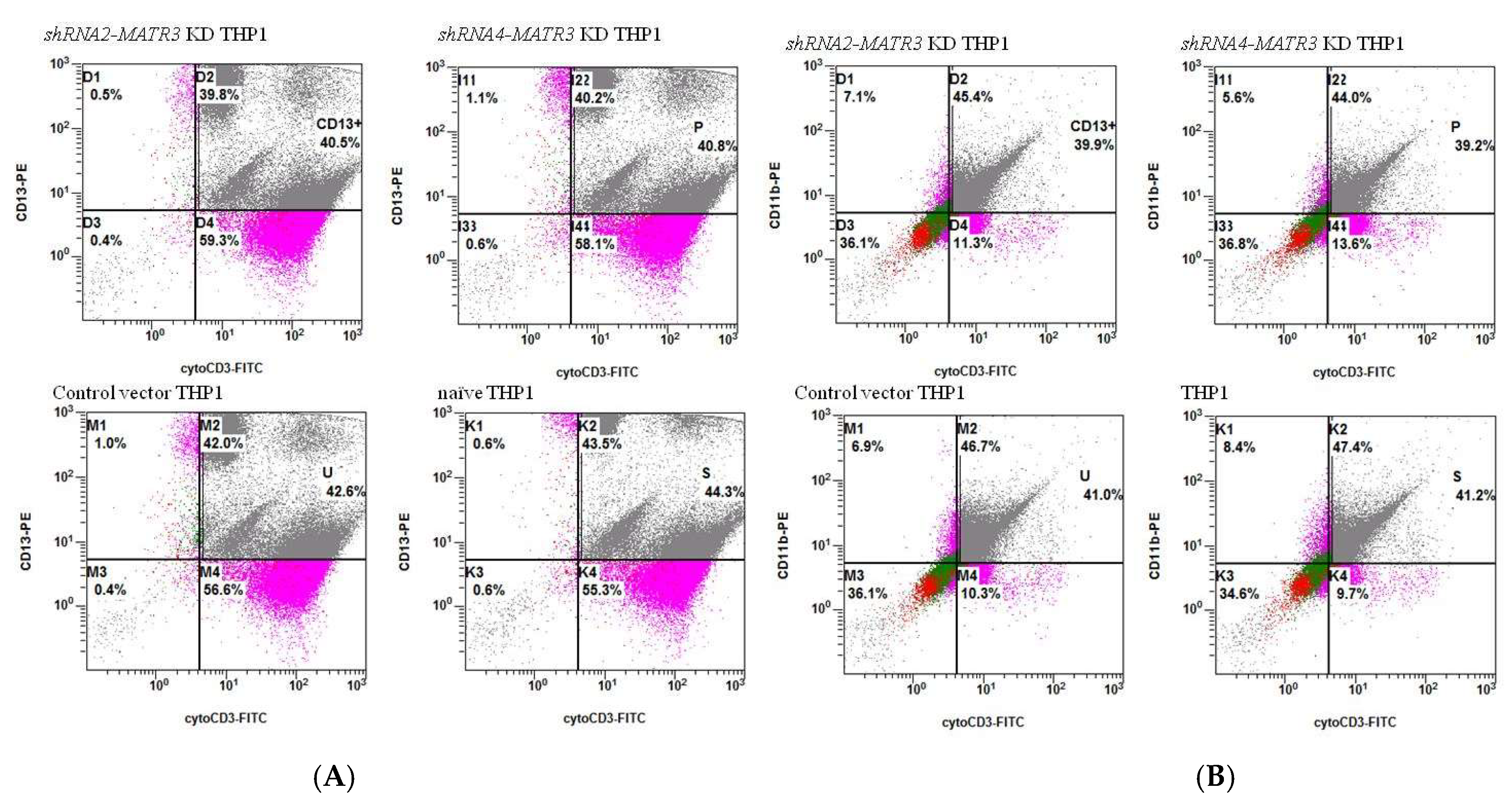 Biomedicines 10 02161 g007
